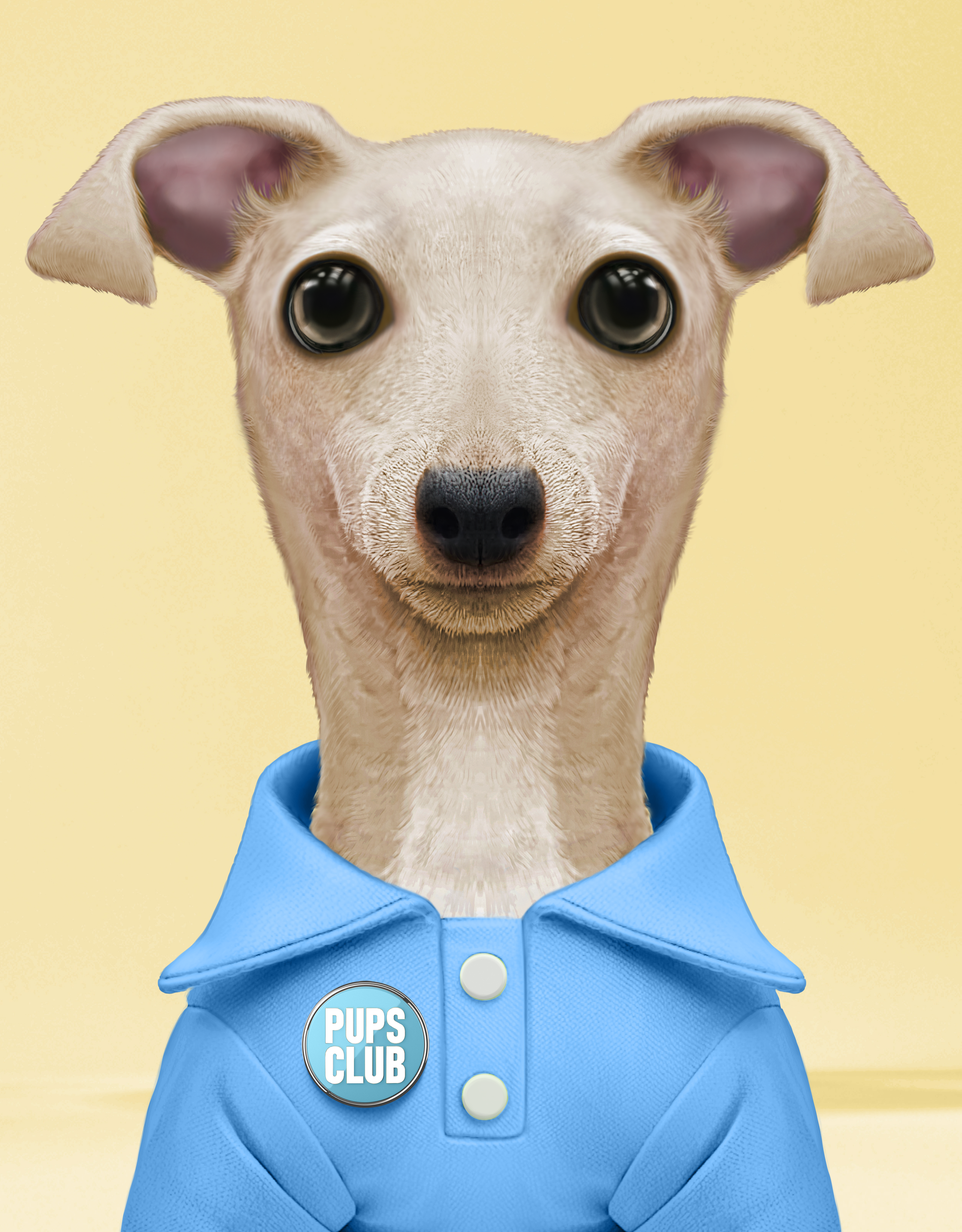 Pup #7863