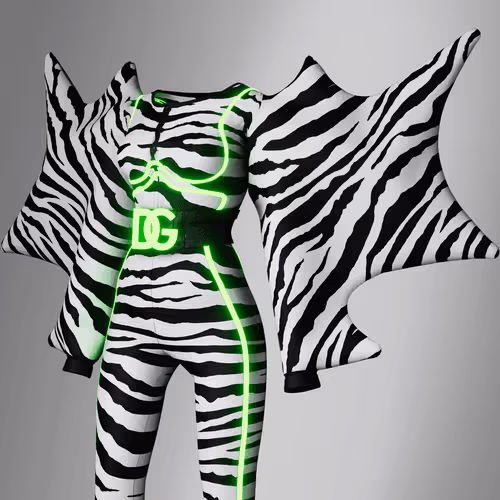 Disco Zebra