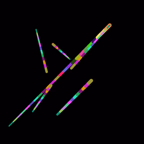 The Straws #2057