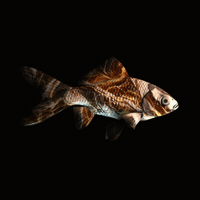 CryptoFish #2424