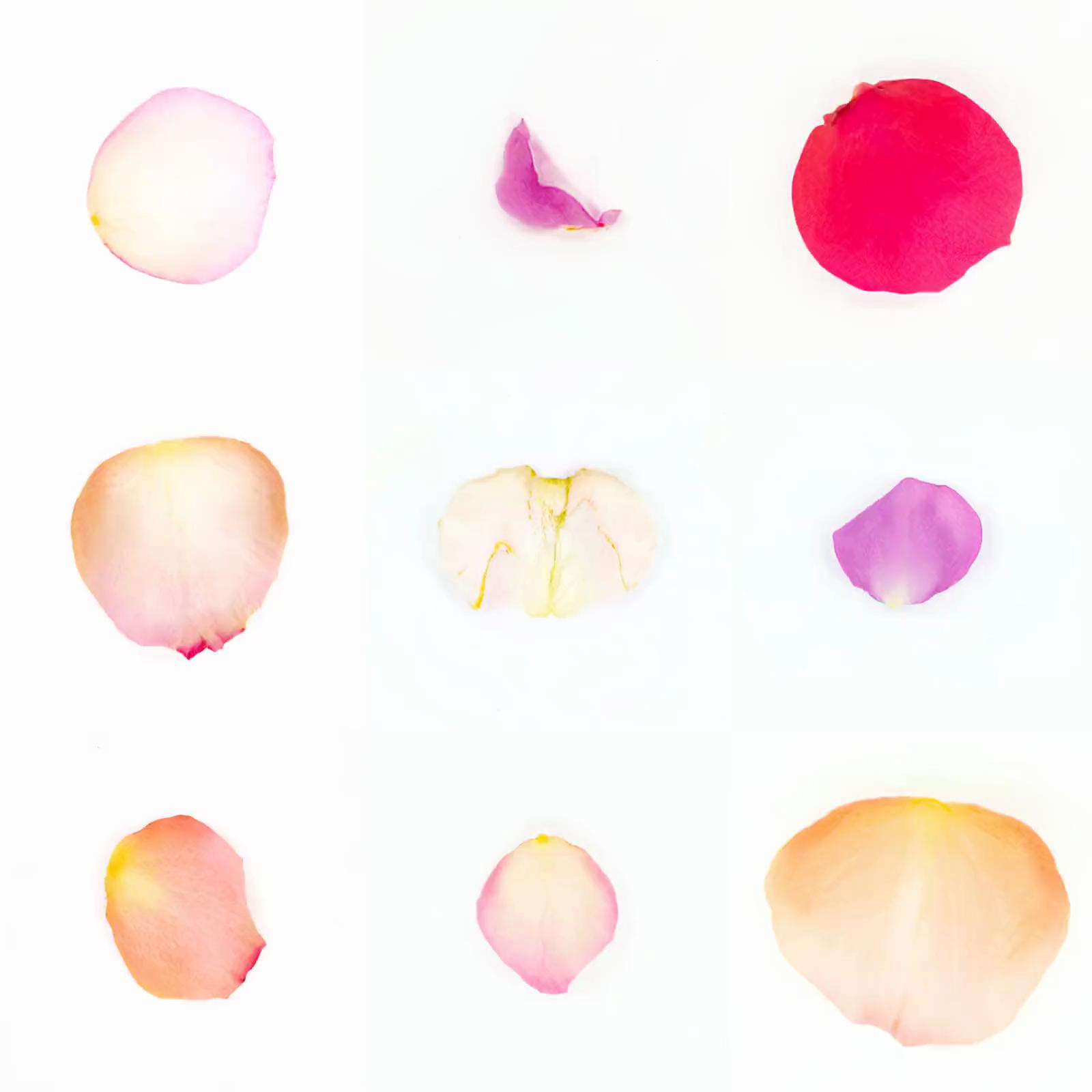 Infinite Petals 3x3#3324