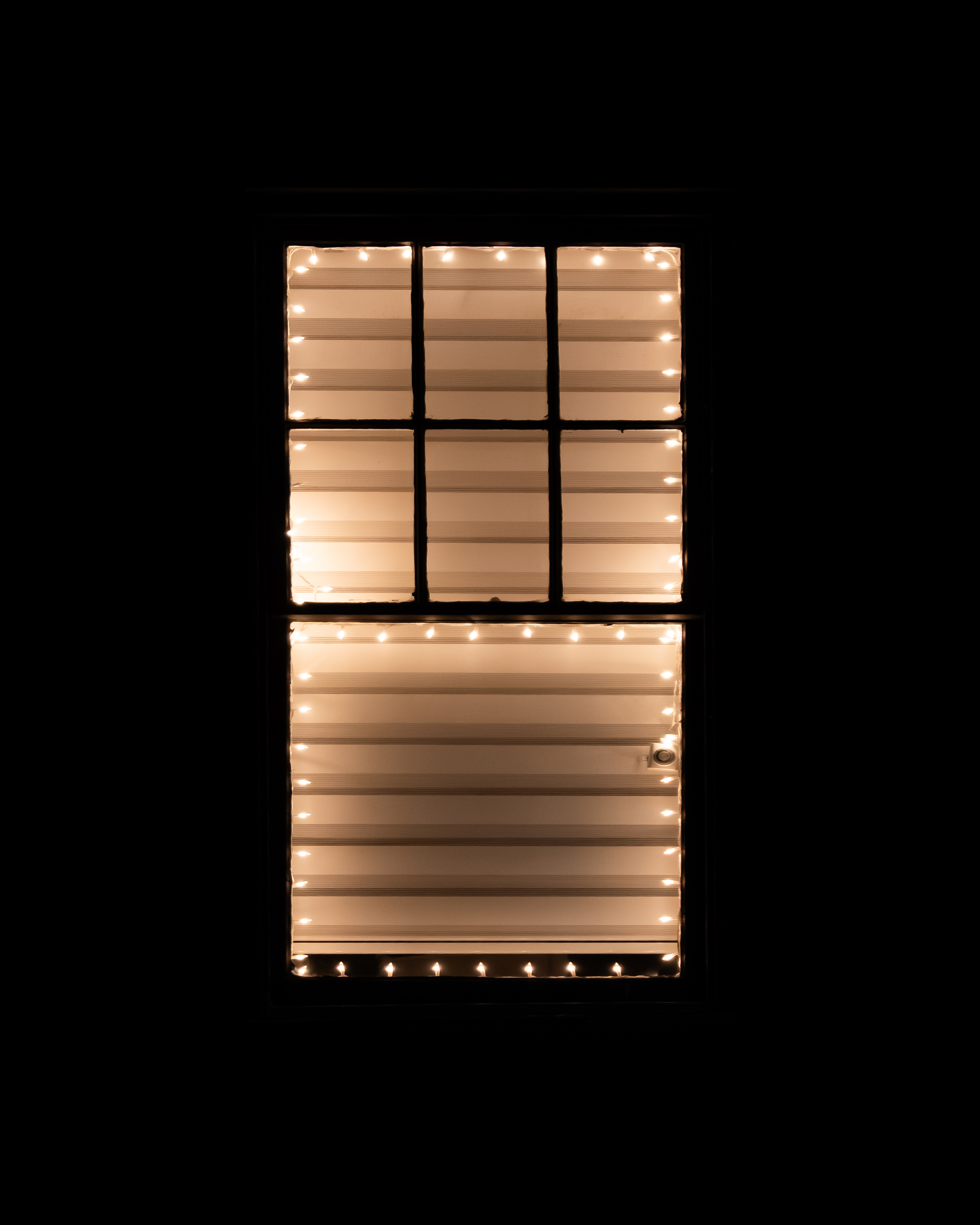 WINDOW 368