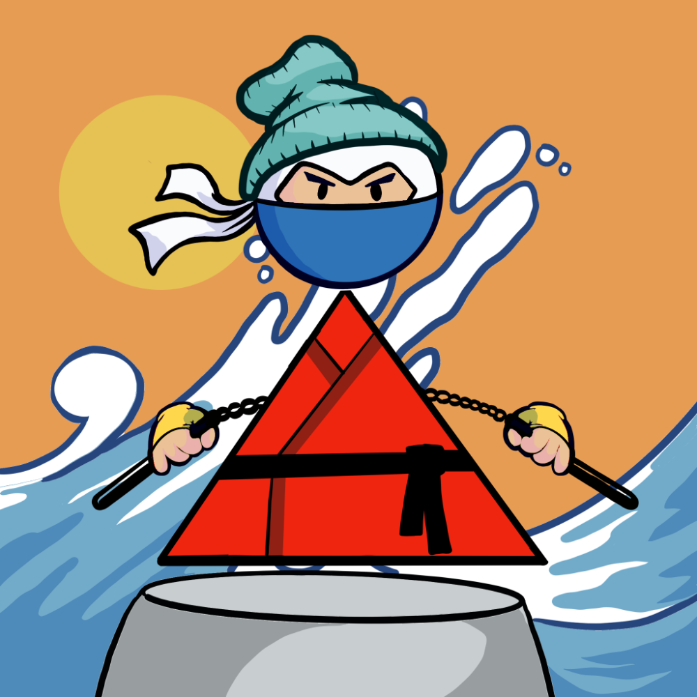 Shape Ninjas #1303