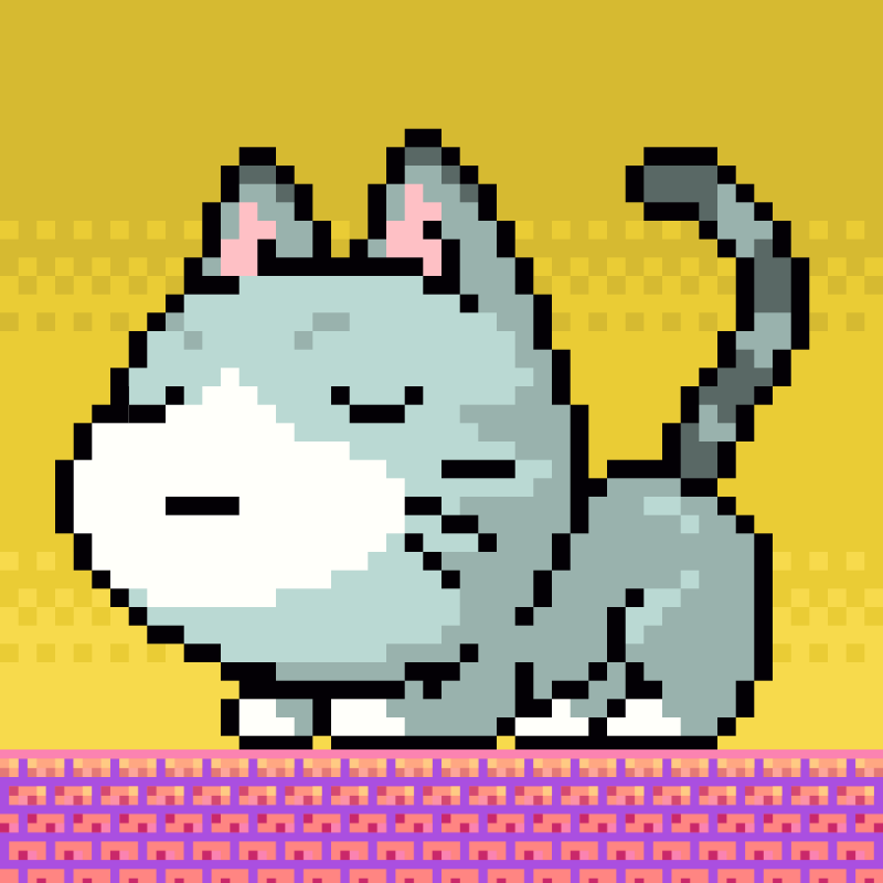 Catxoxo #2216