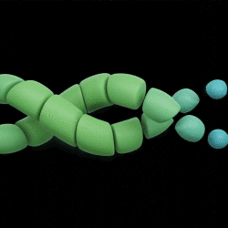Double helix