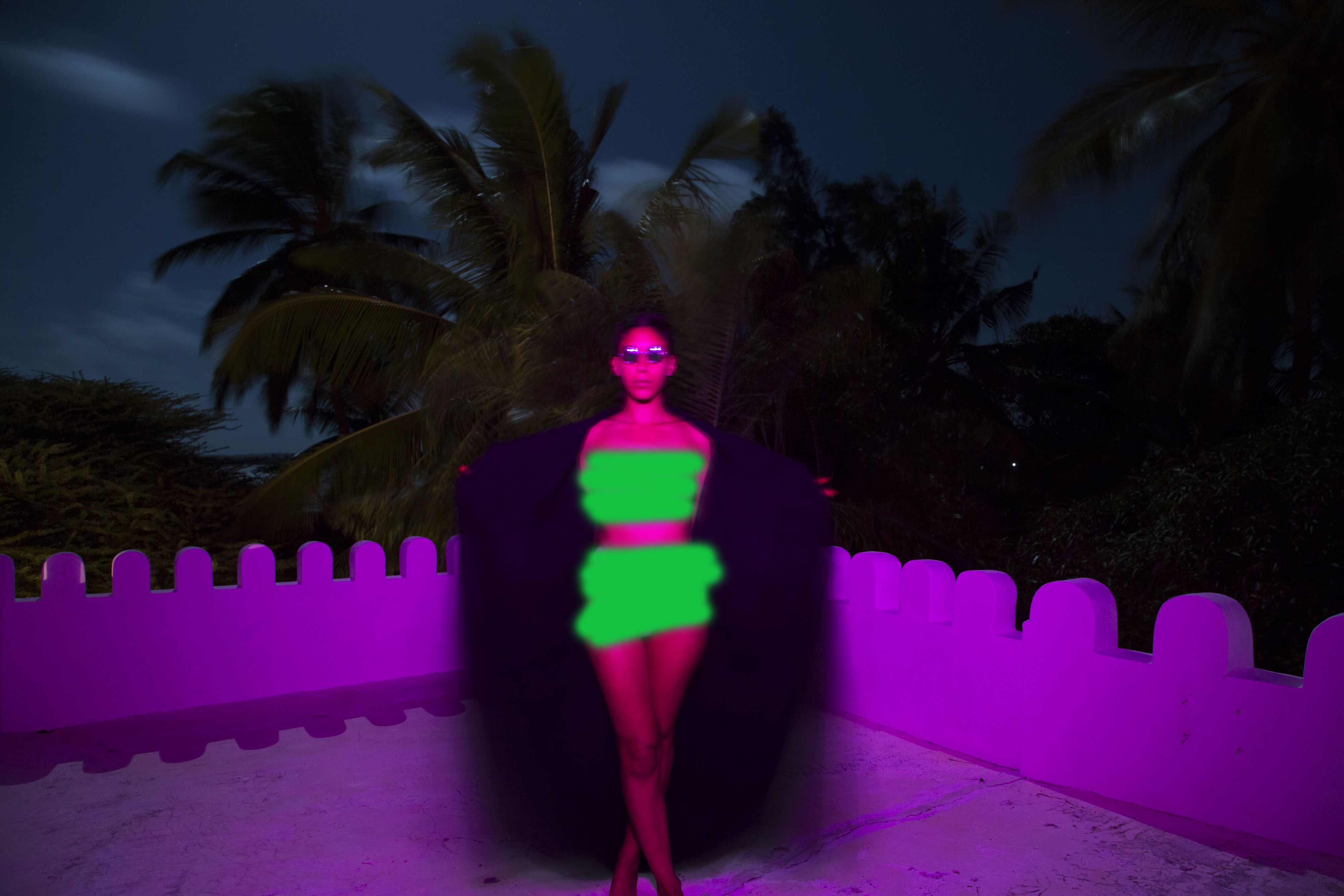 Bunny Rising