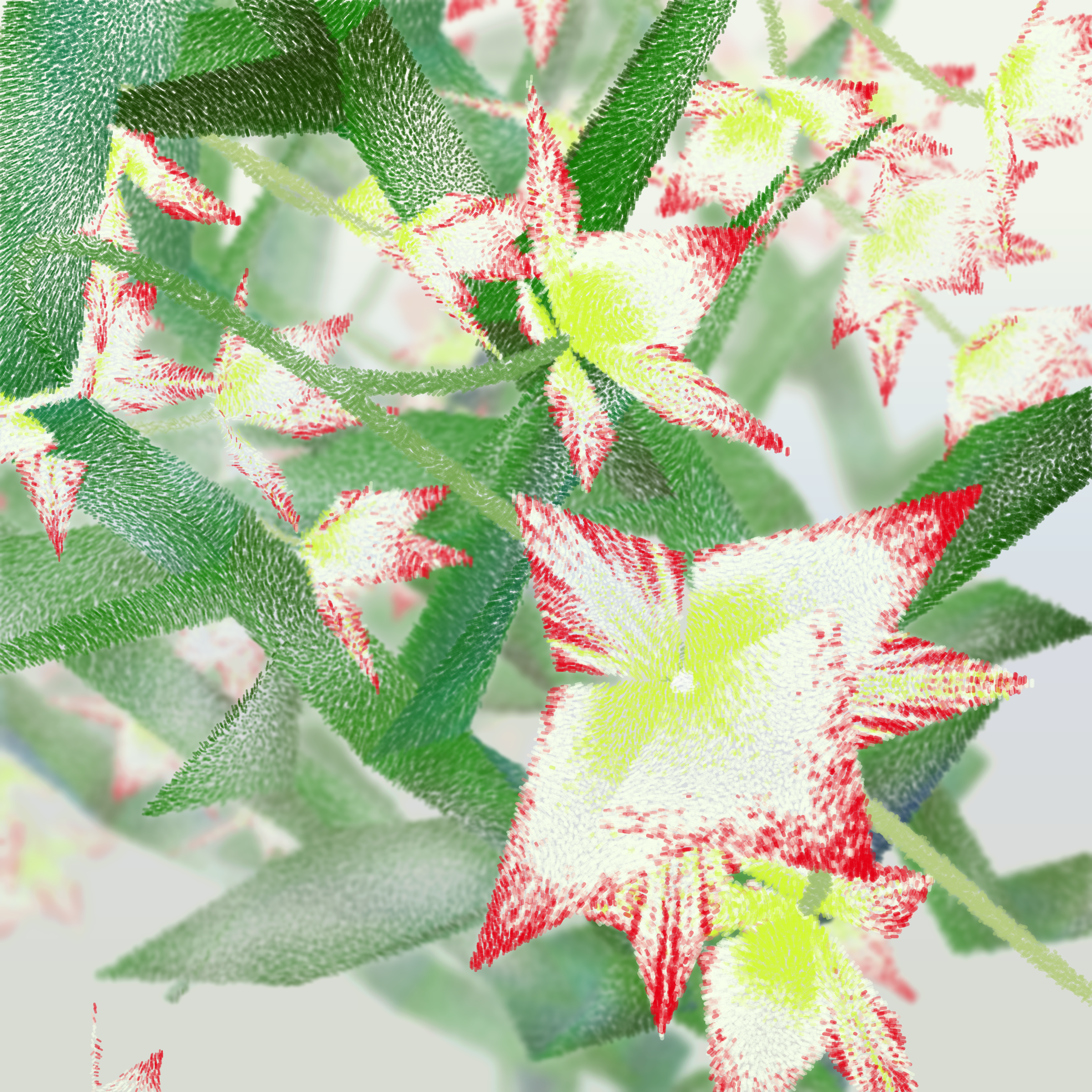 Cattleya #209