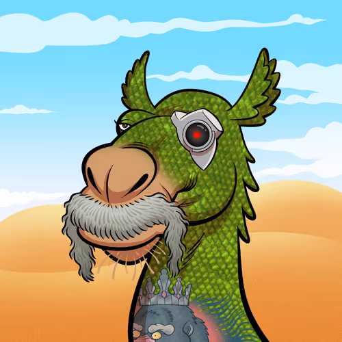 Arabian Camel #11606