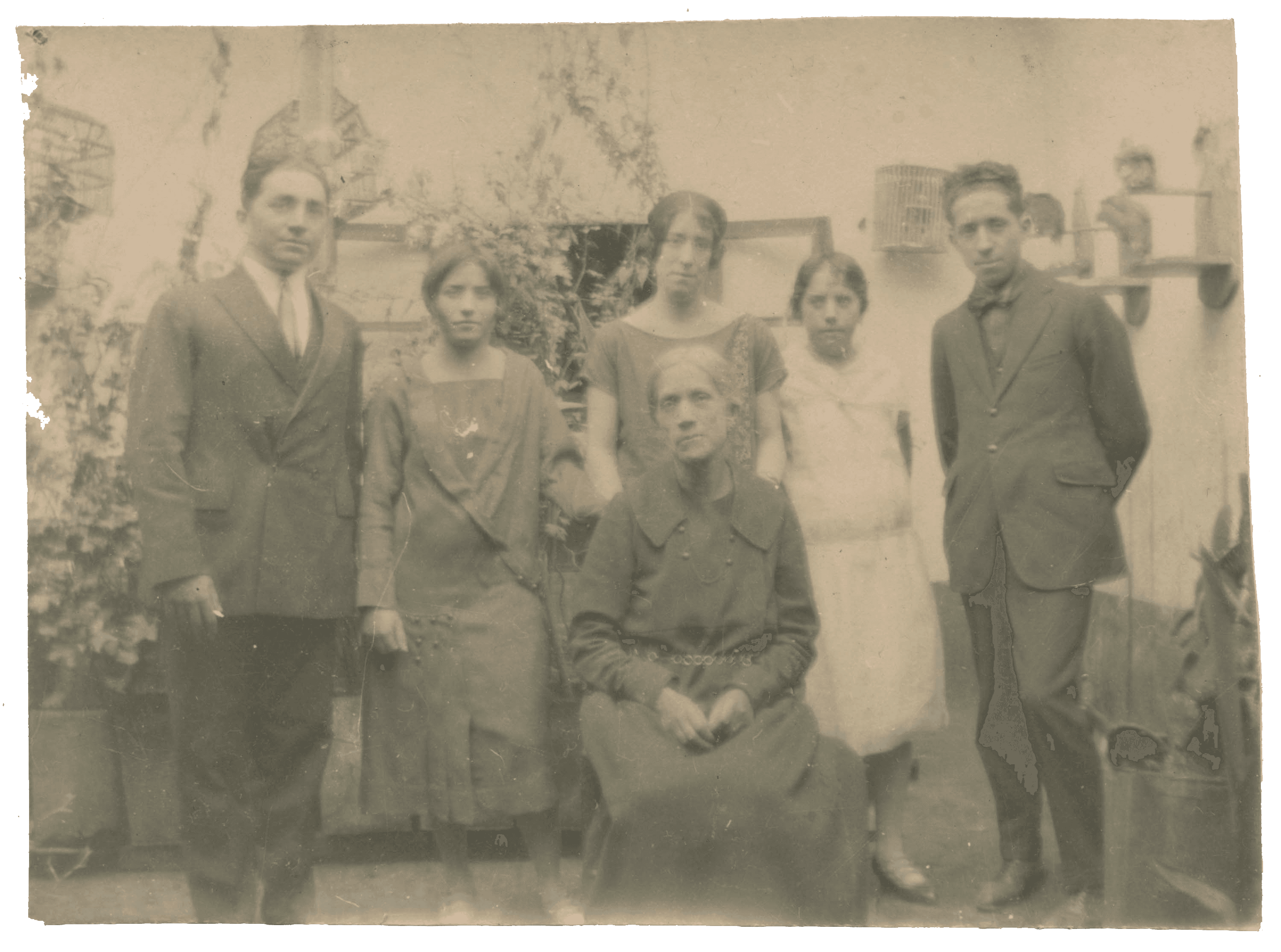 Families #8