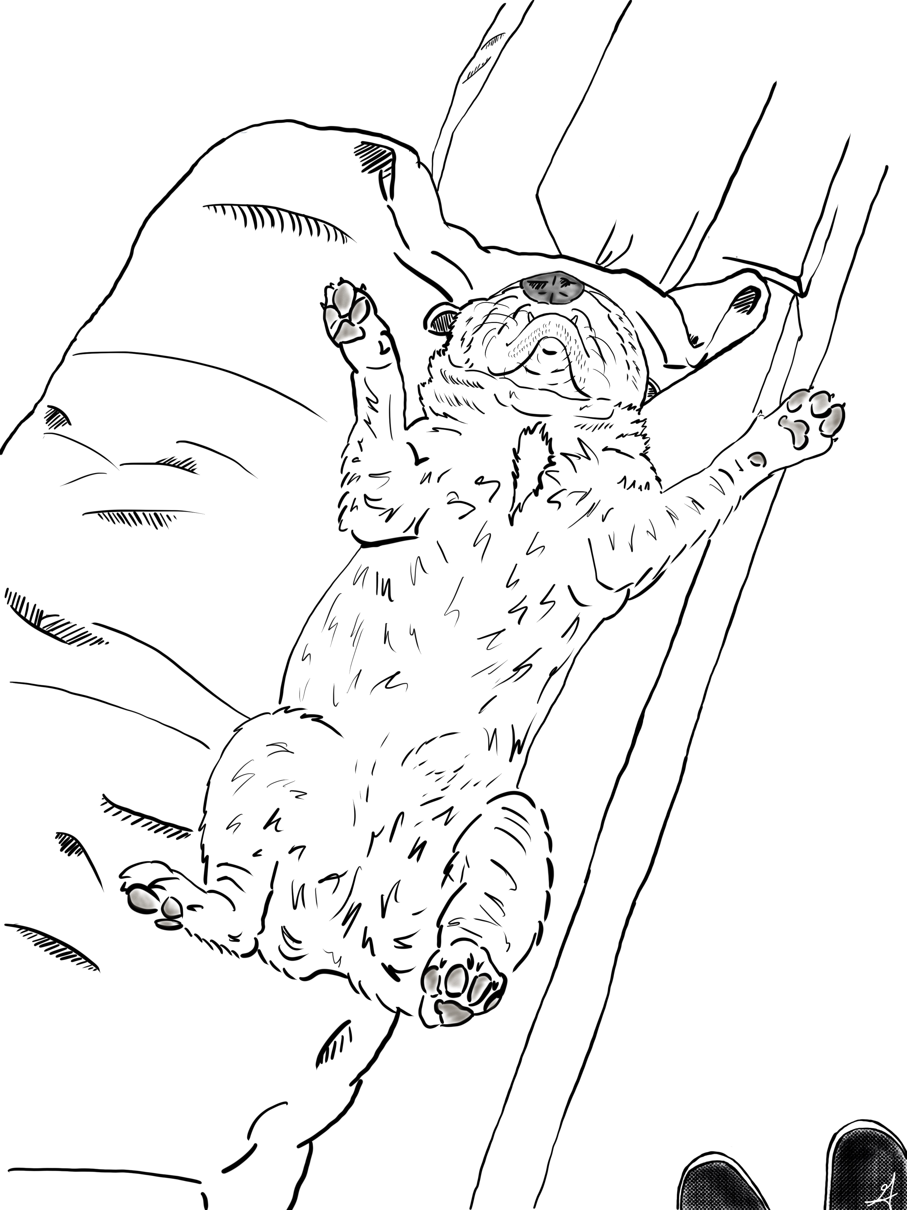 sleepy leo