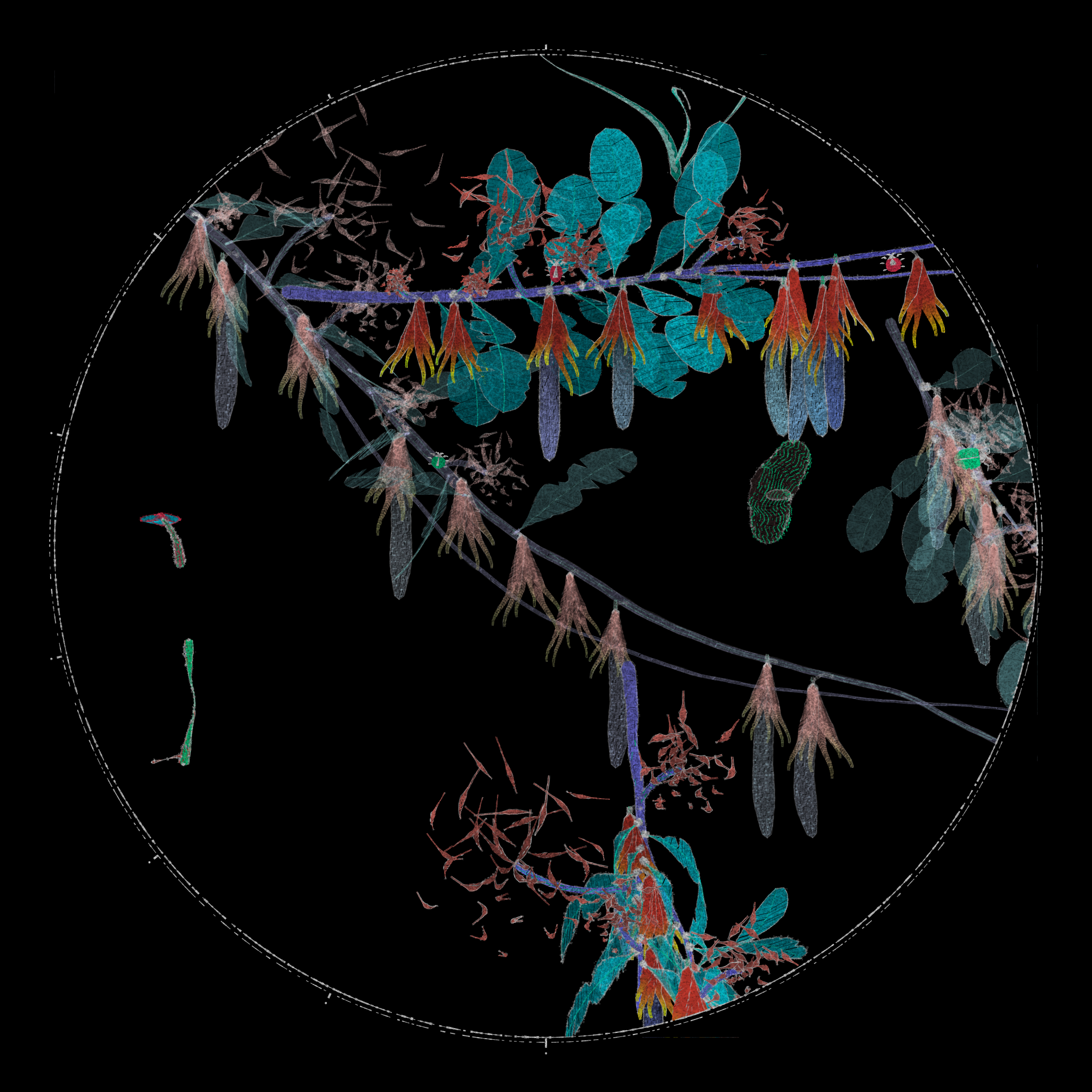 Polypaths | 植徑集 #223