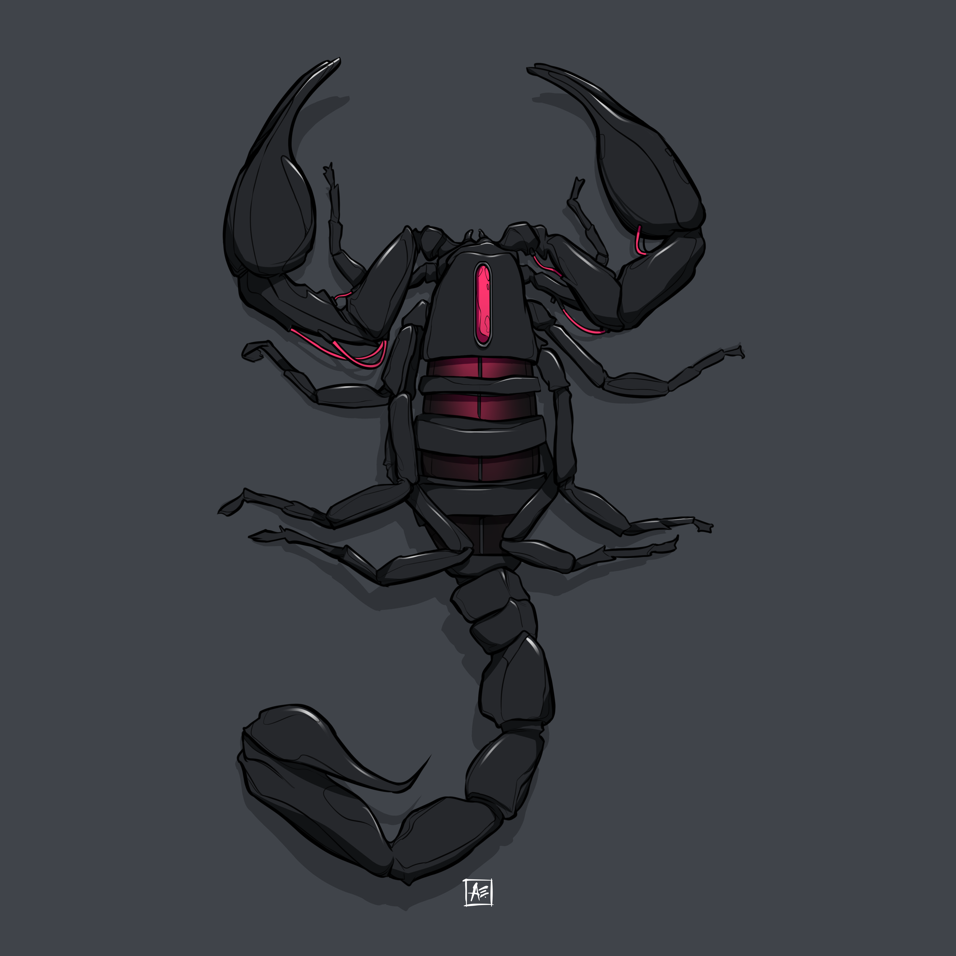 Scorpion