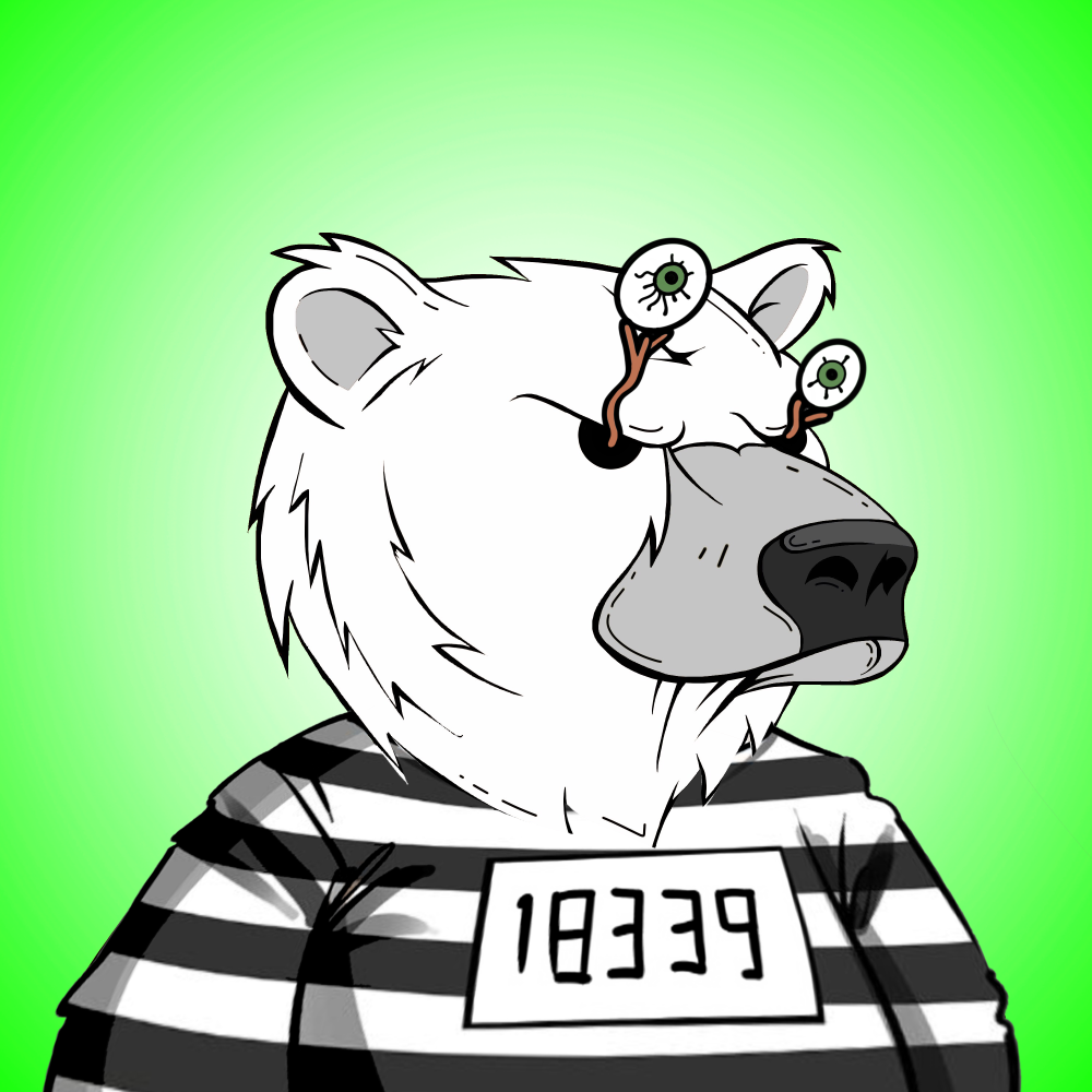 Crazy Bear #562