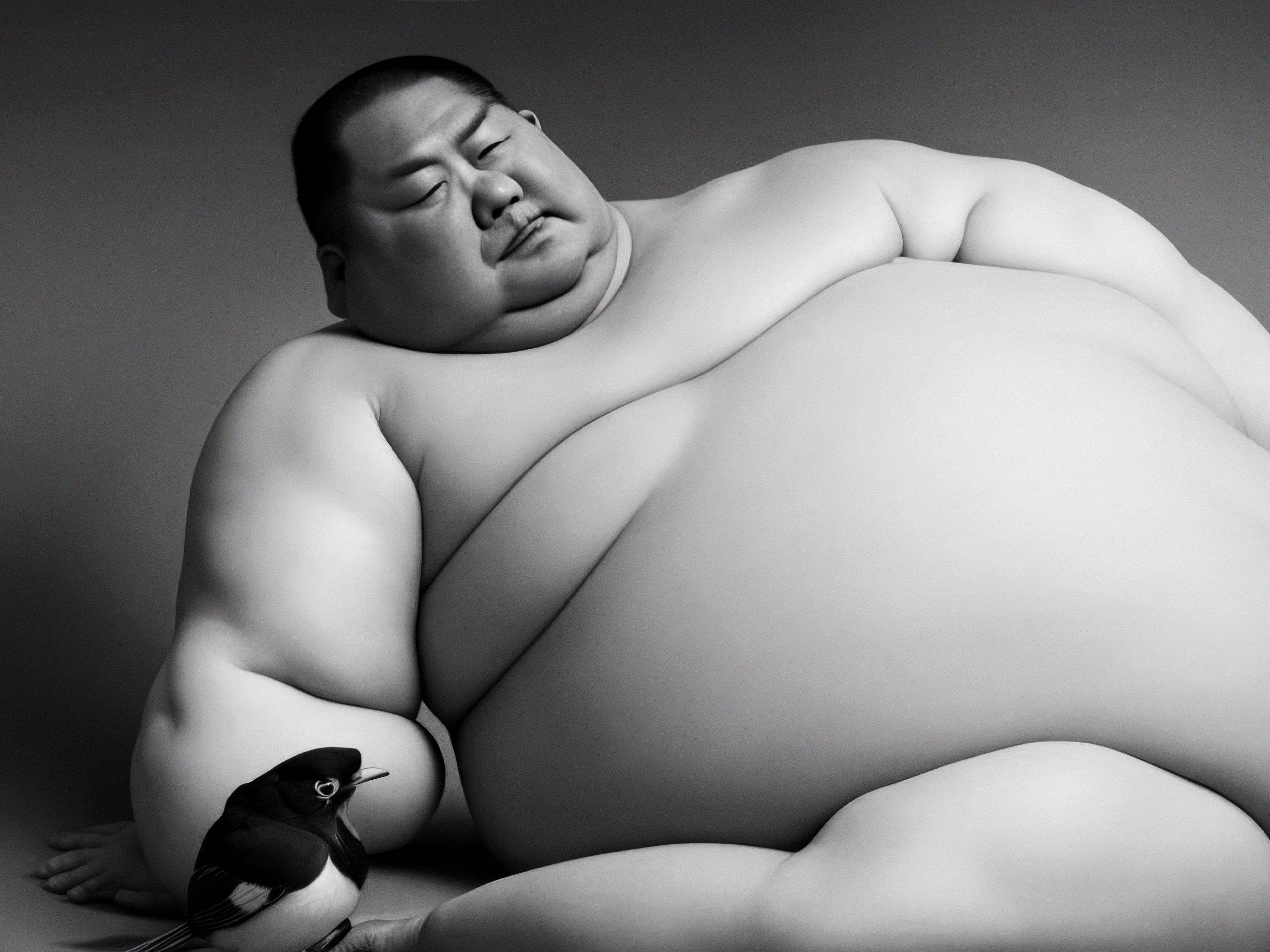 SUMO, study V, bw#49