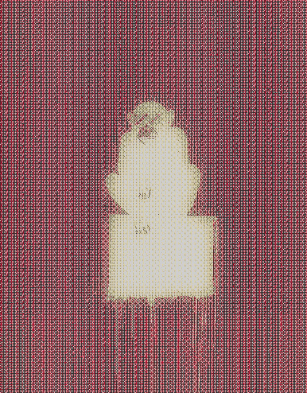 monkeys29