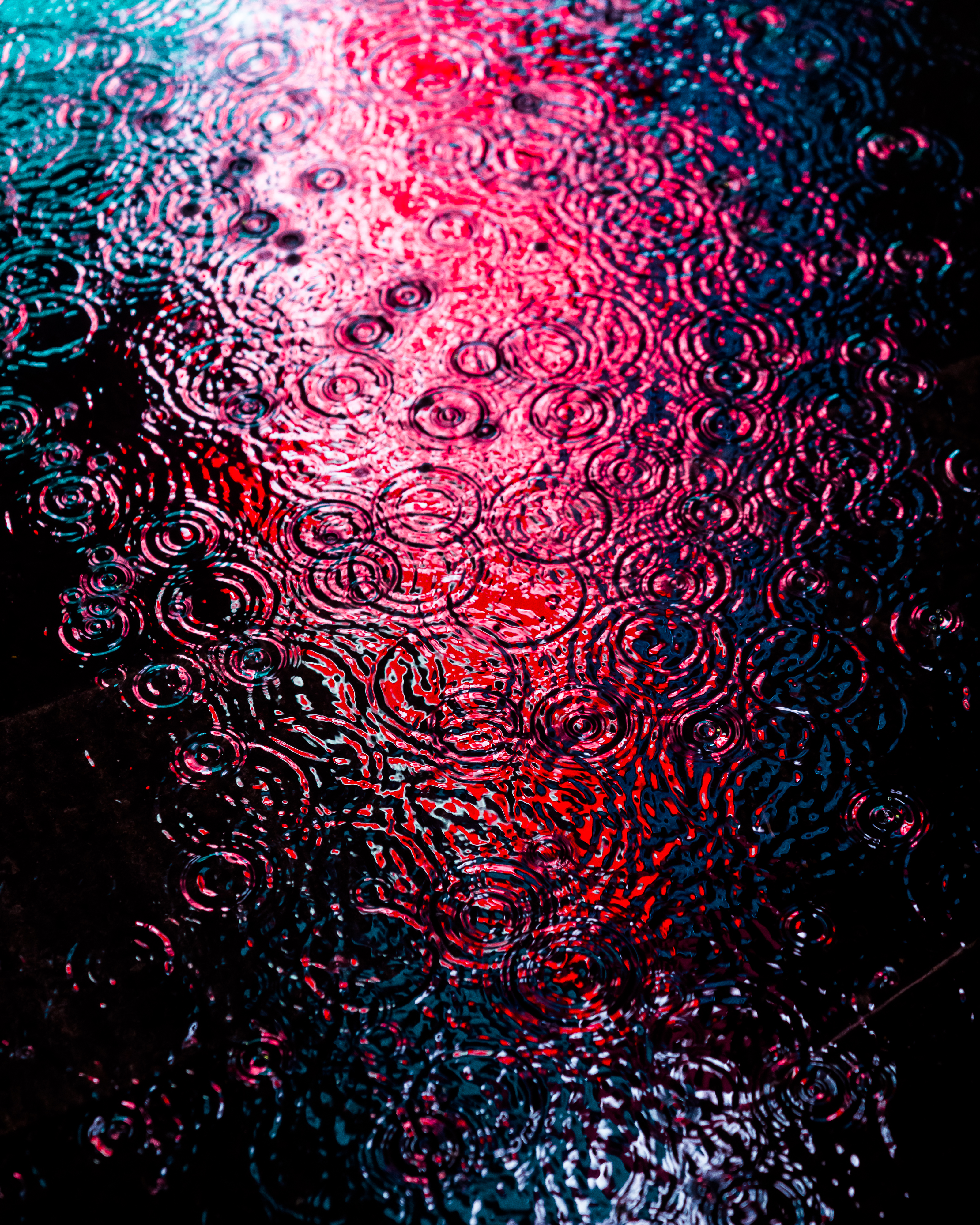 DRIP #426