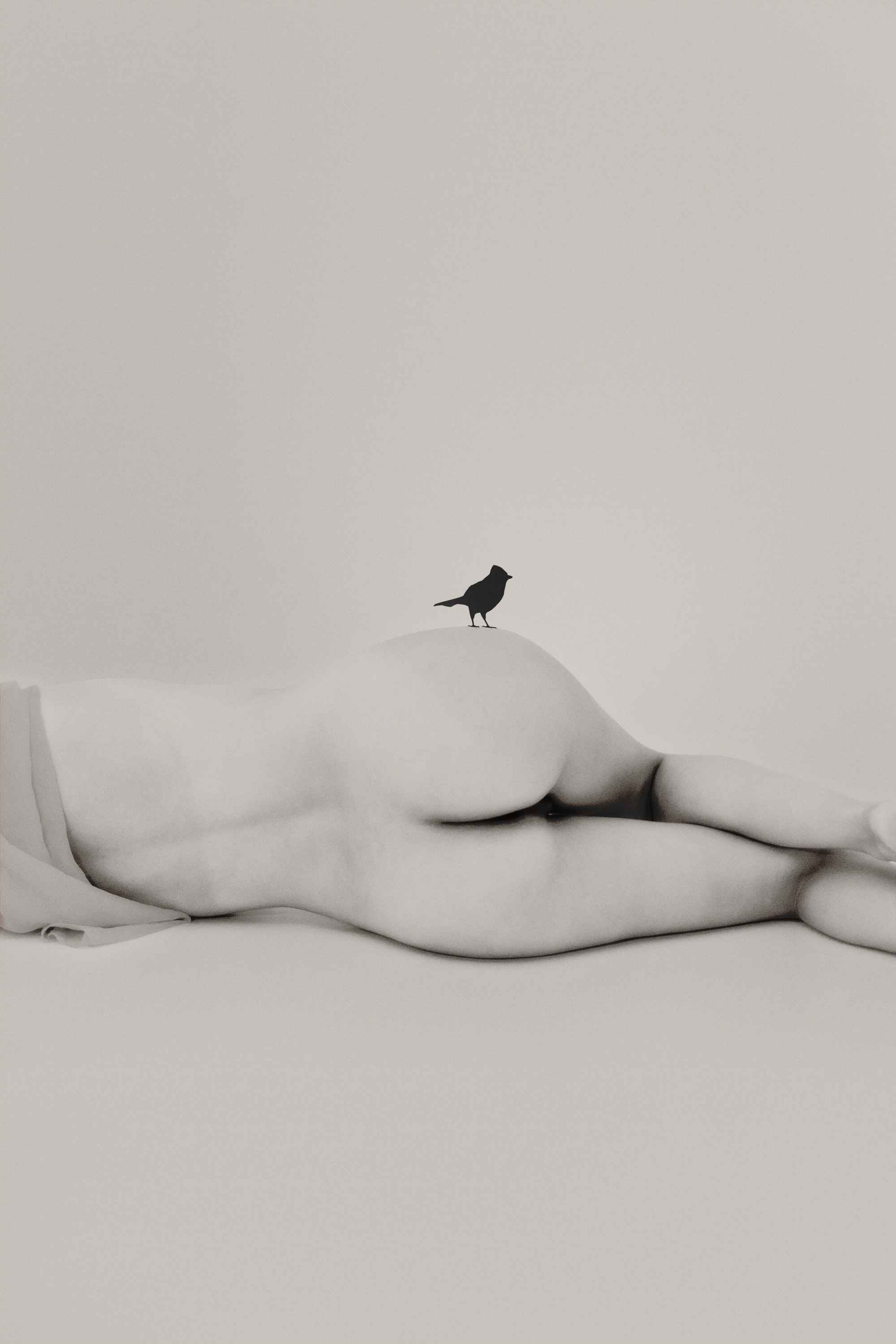 Blackbird
