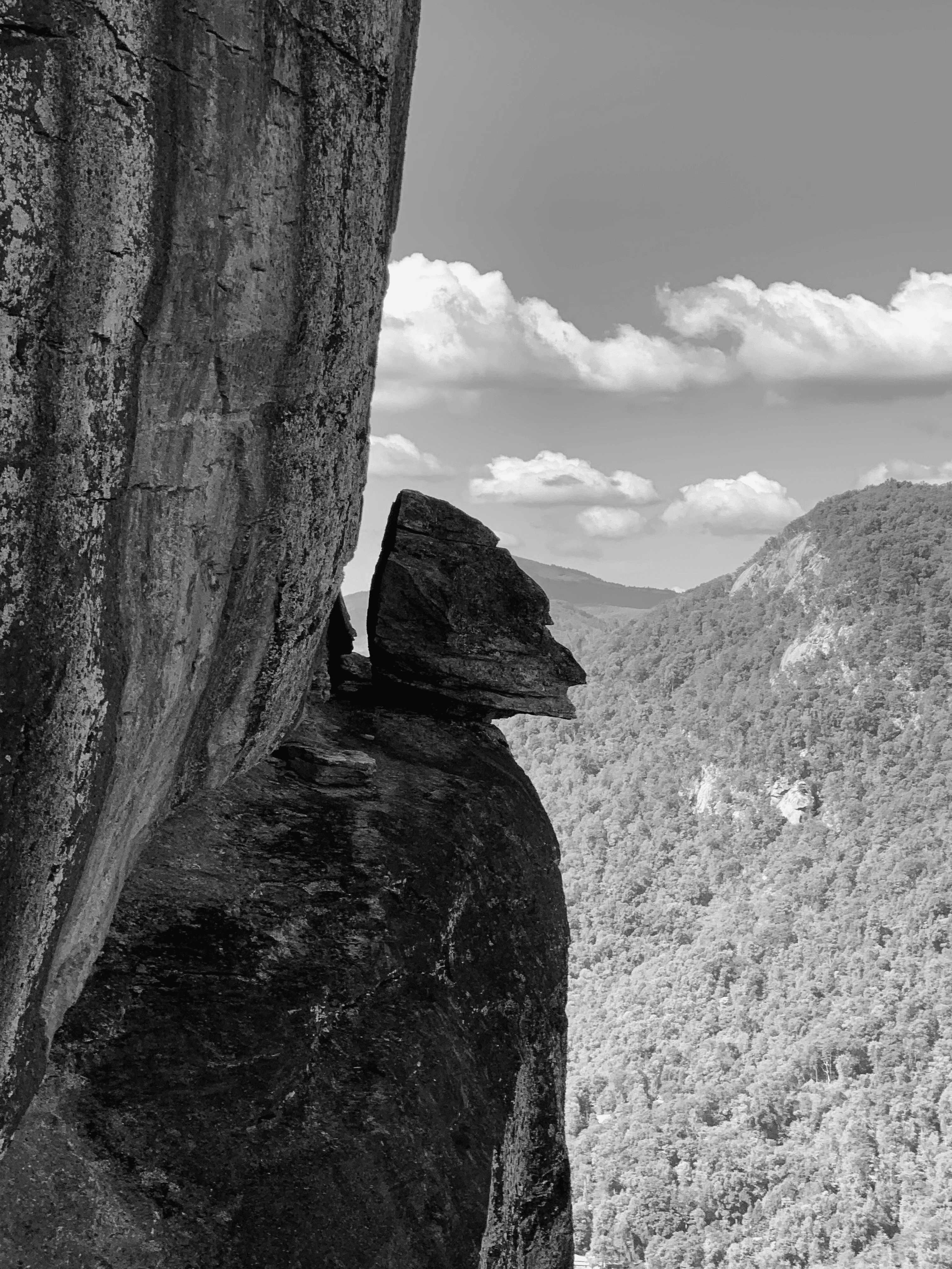"Devil's Head"
