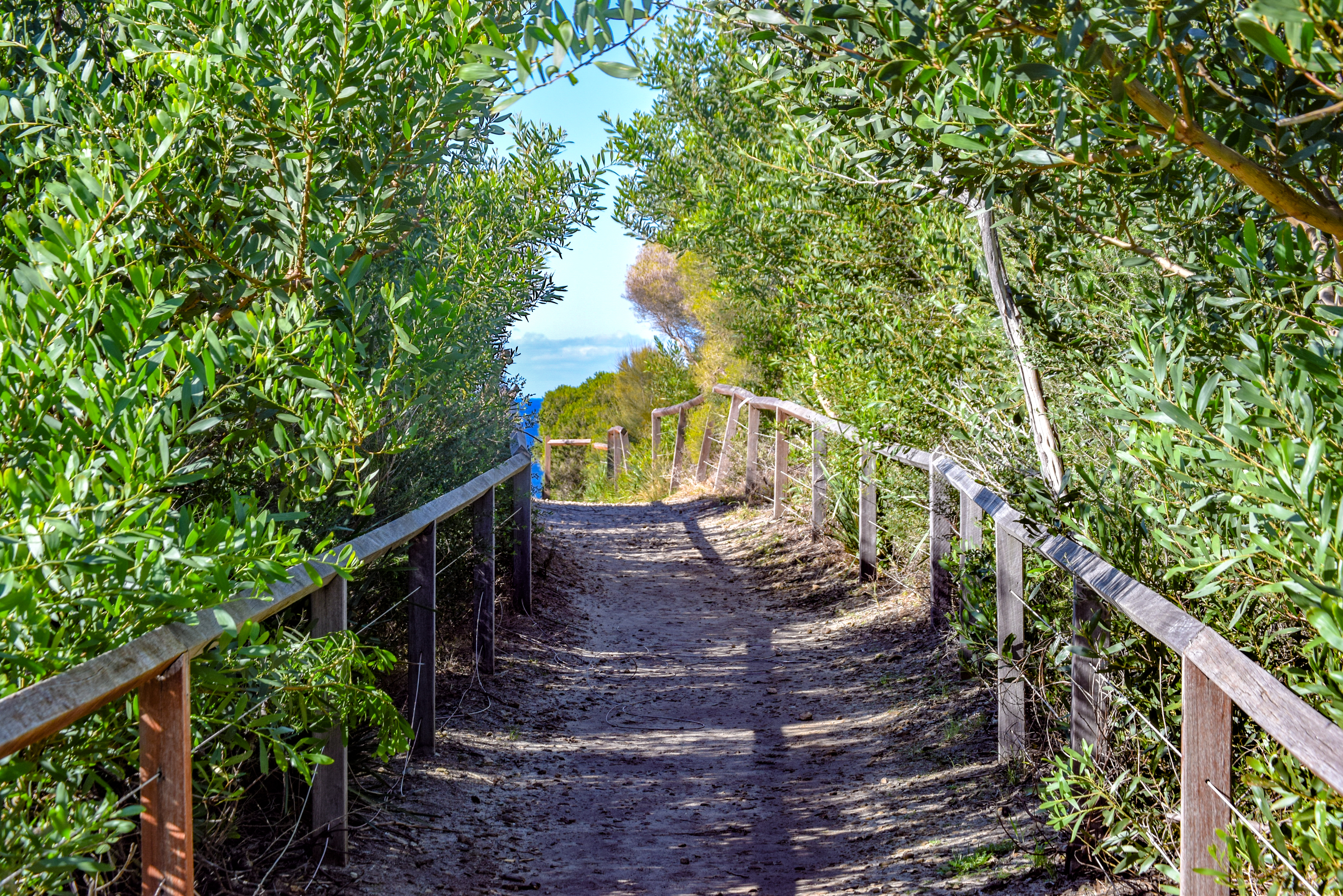 Path to the C