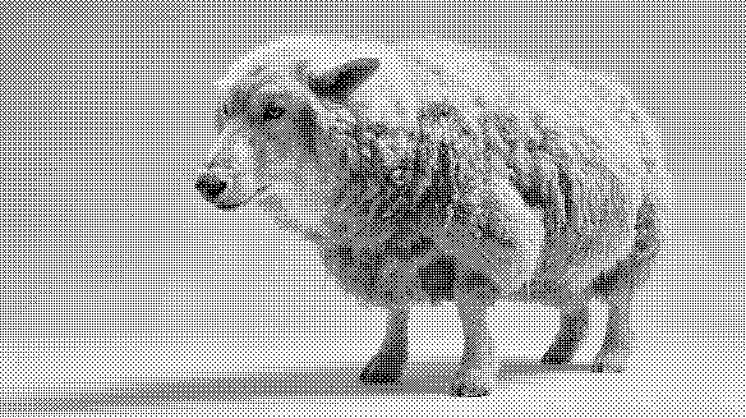 Wolves and Sheep #2