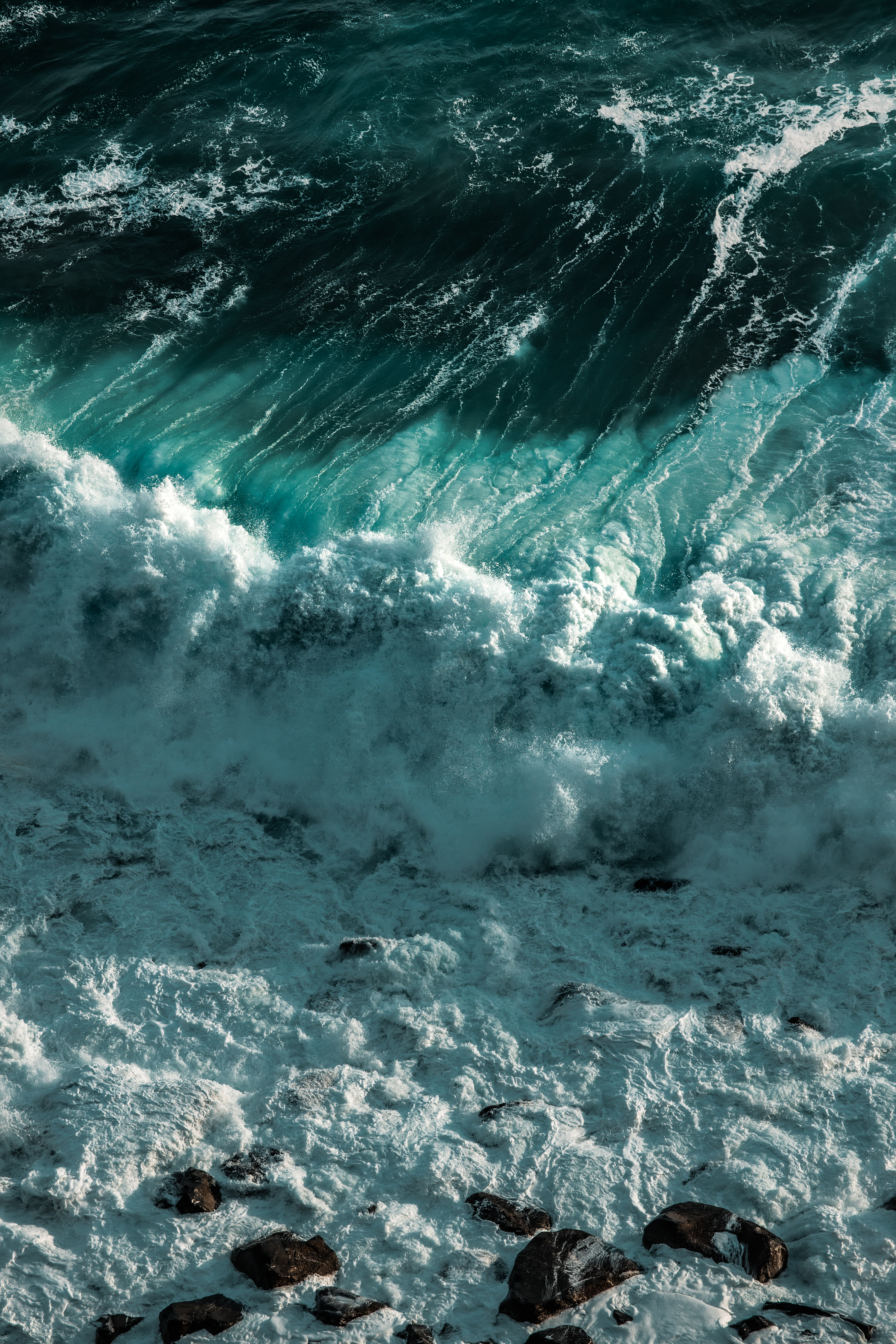 Sea Feelings