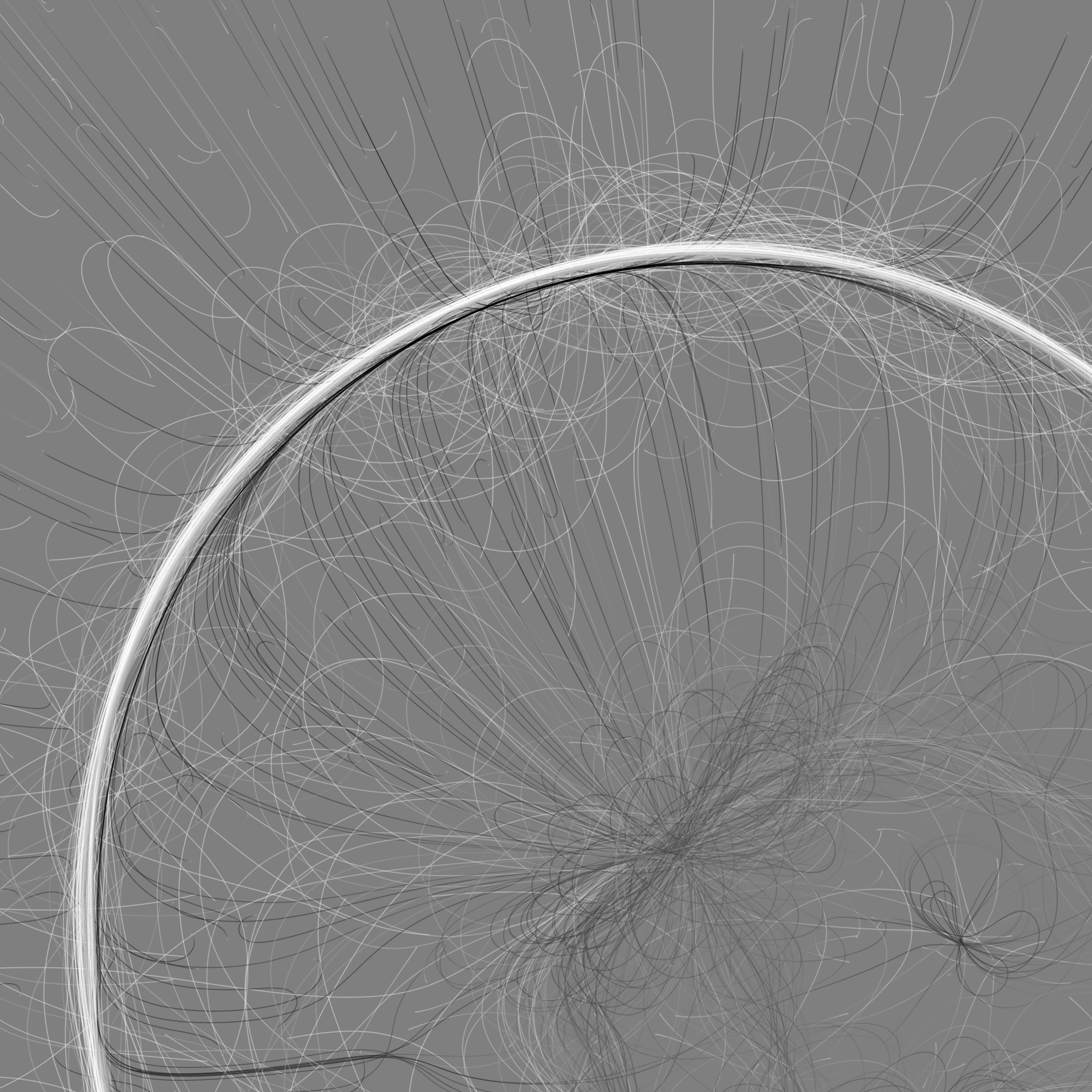 Phototaxis #571