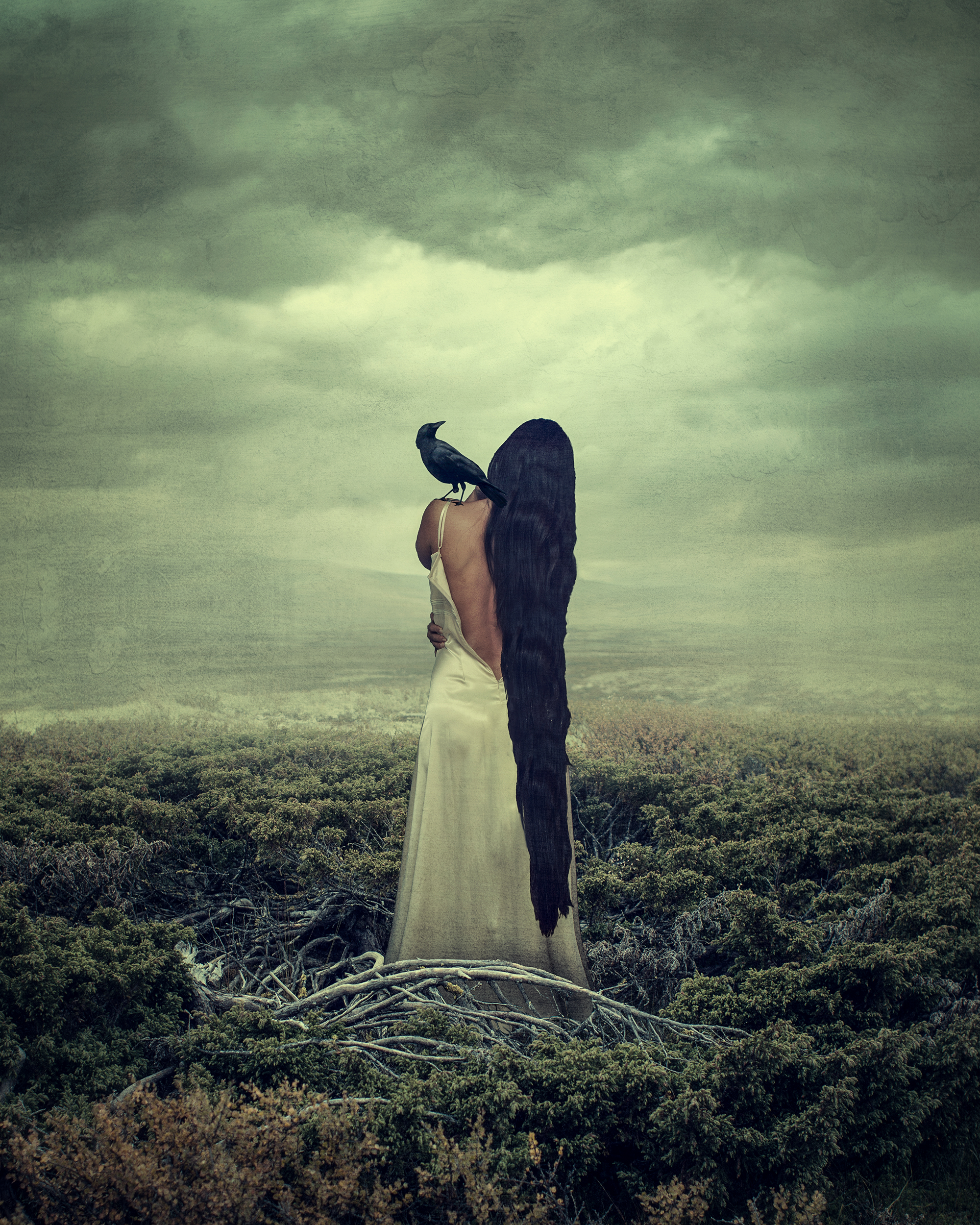 Awakening
