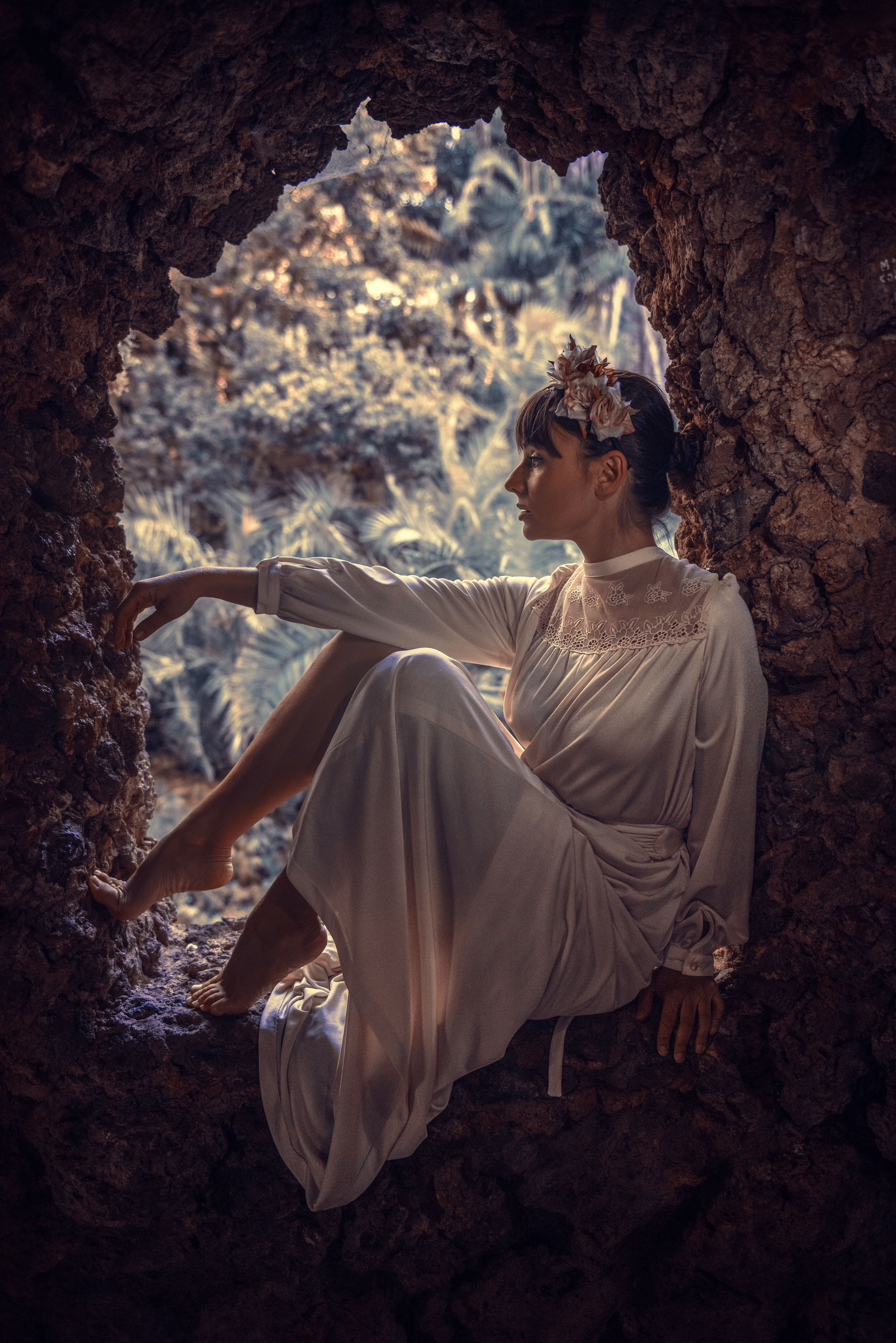 Window of Enchantment