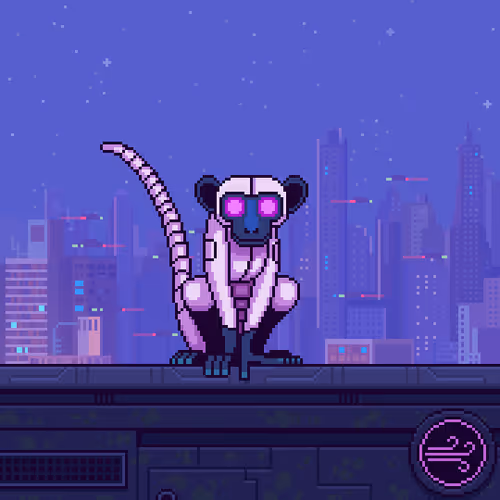 Animonkey #2467