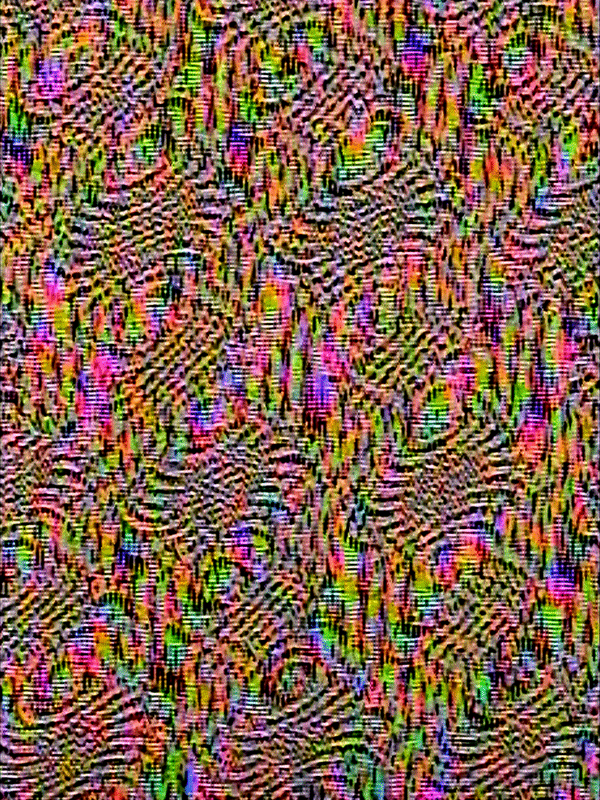 #22 Neocirculus