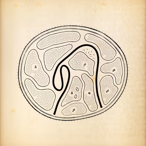 Cytographia #350