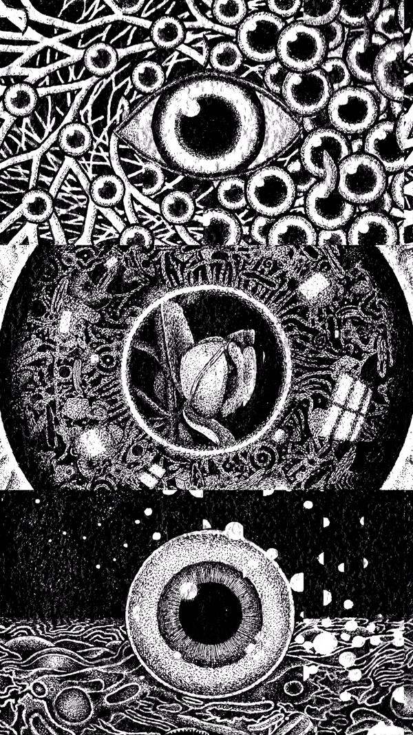 Open Eyes (Flower) - Artist Proof #3/3