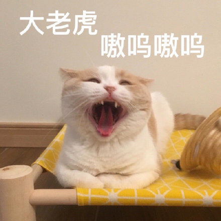 sss8