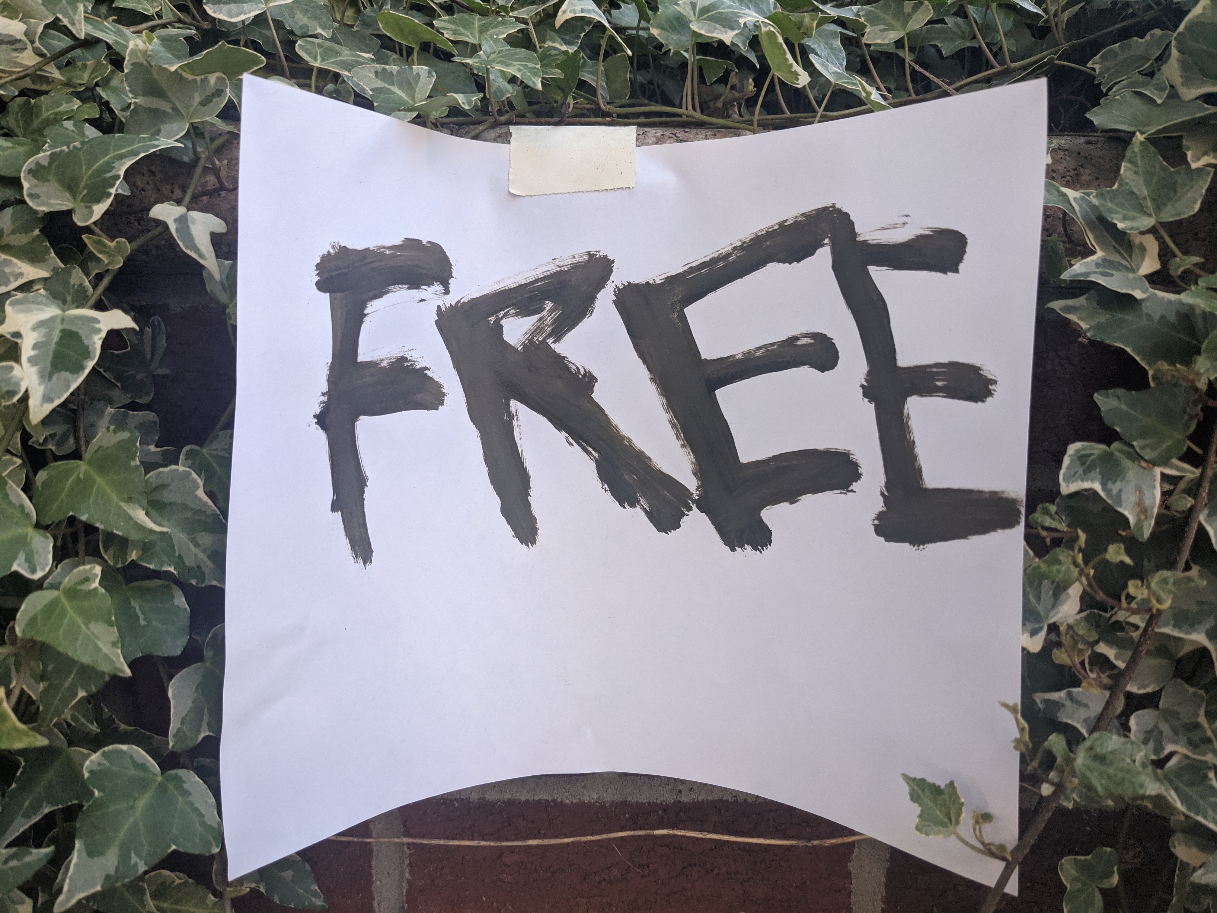Free0 #210