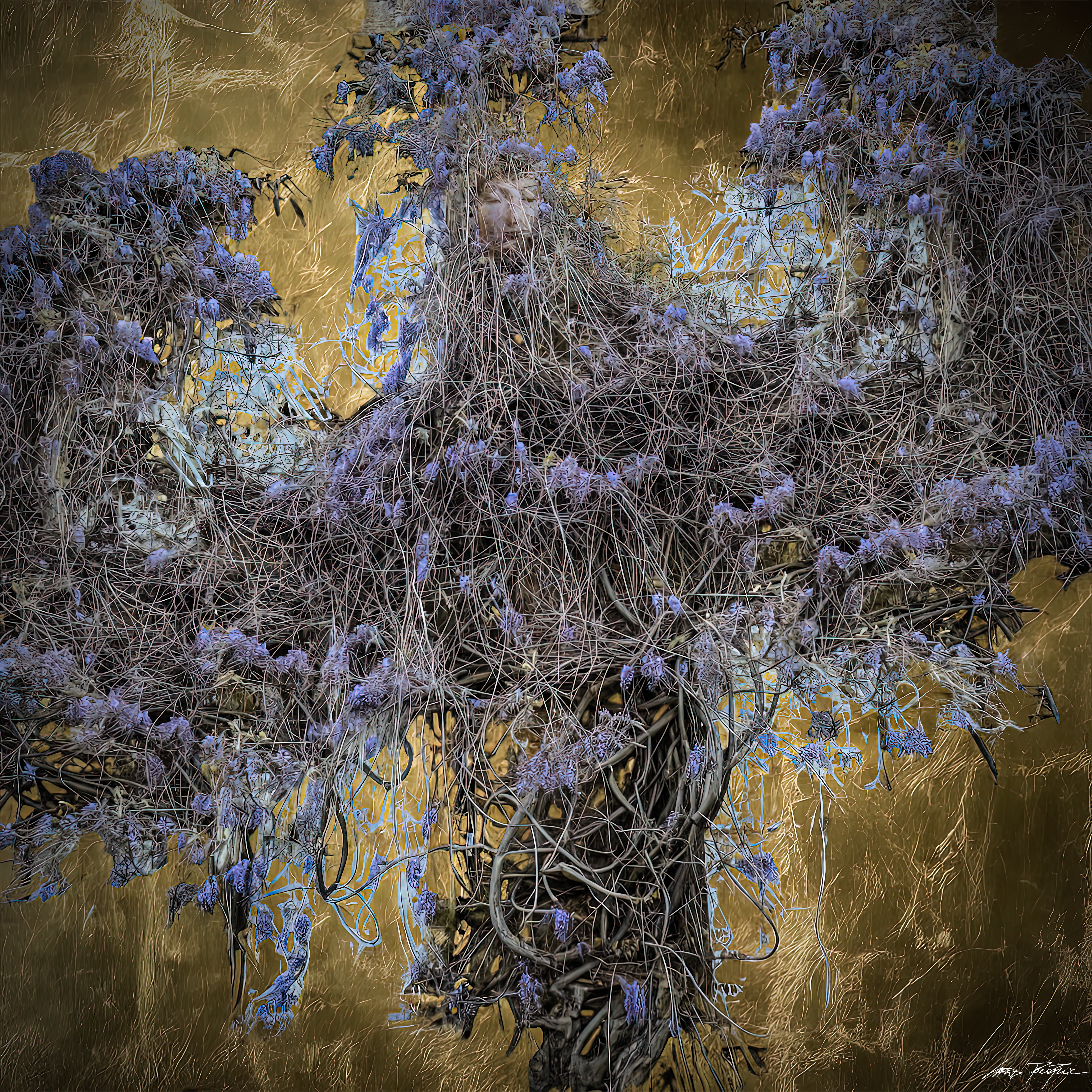 The Mother Nature