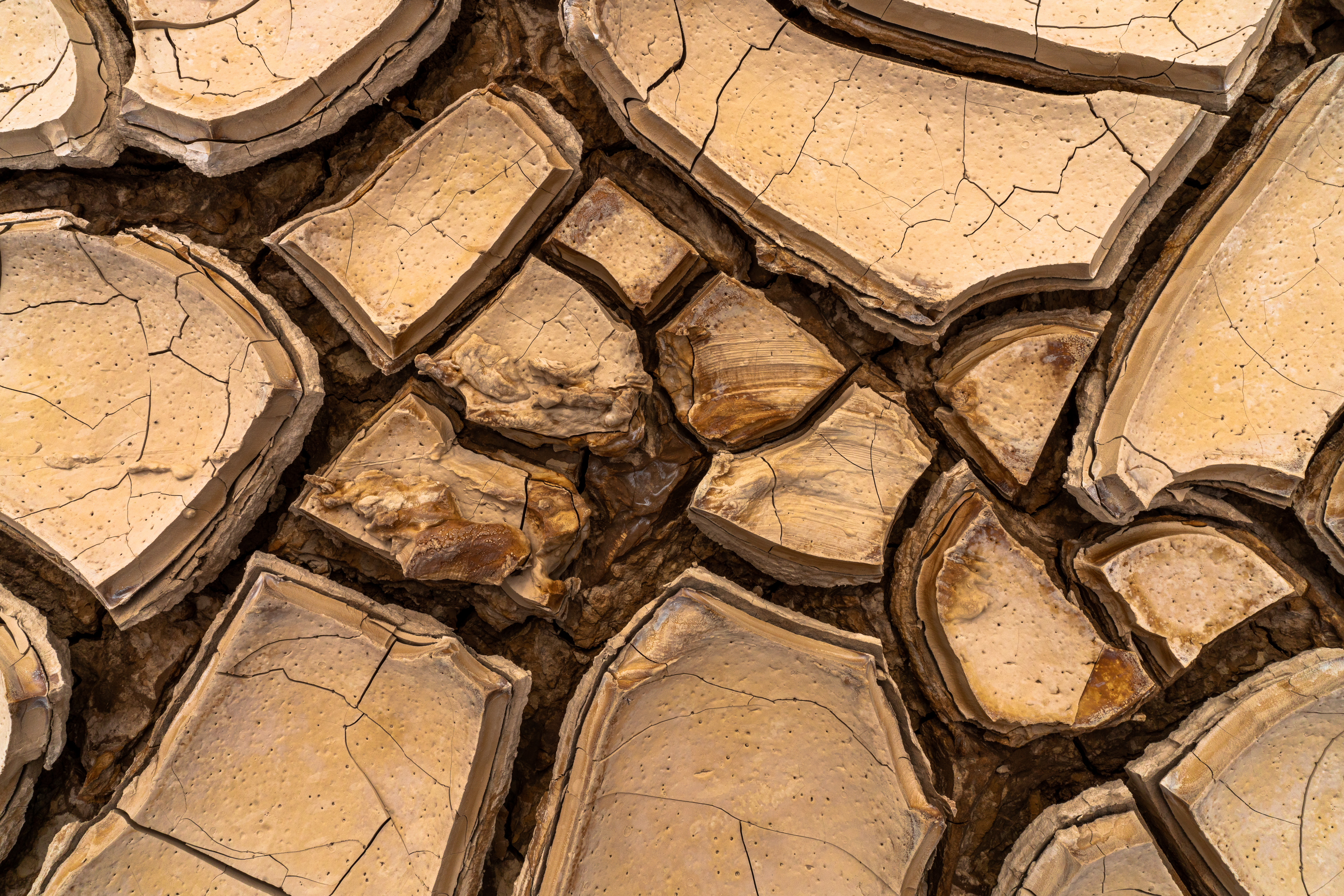 Cracked and Smeared- ReGeneration #5