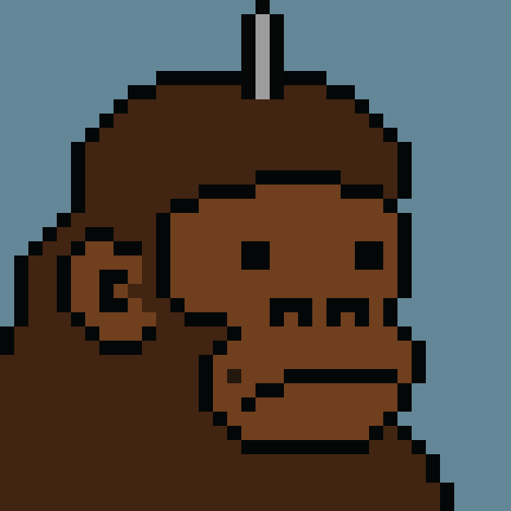 Kong Punk #06918