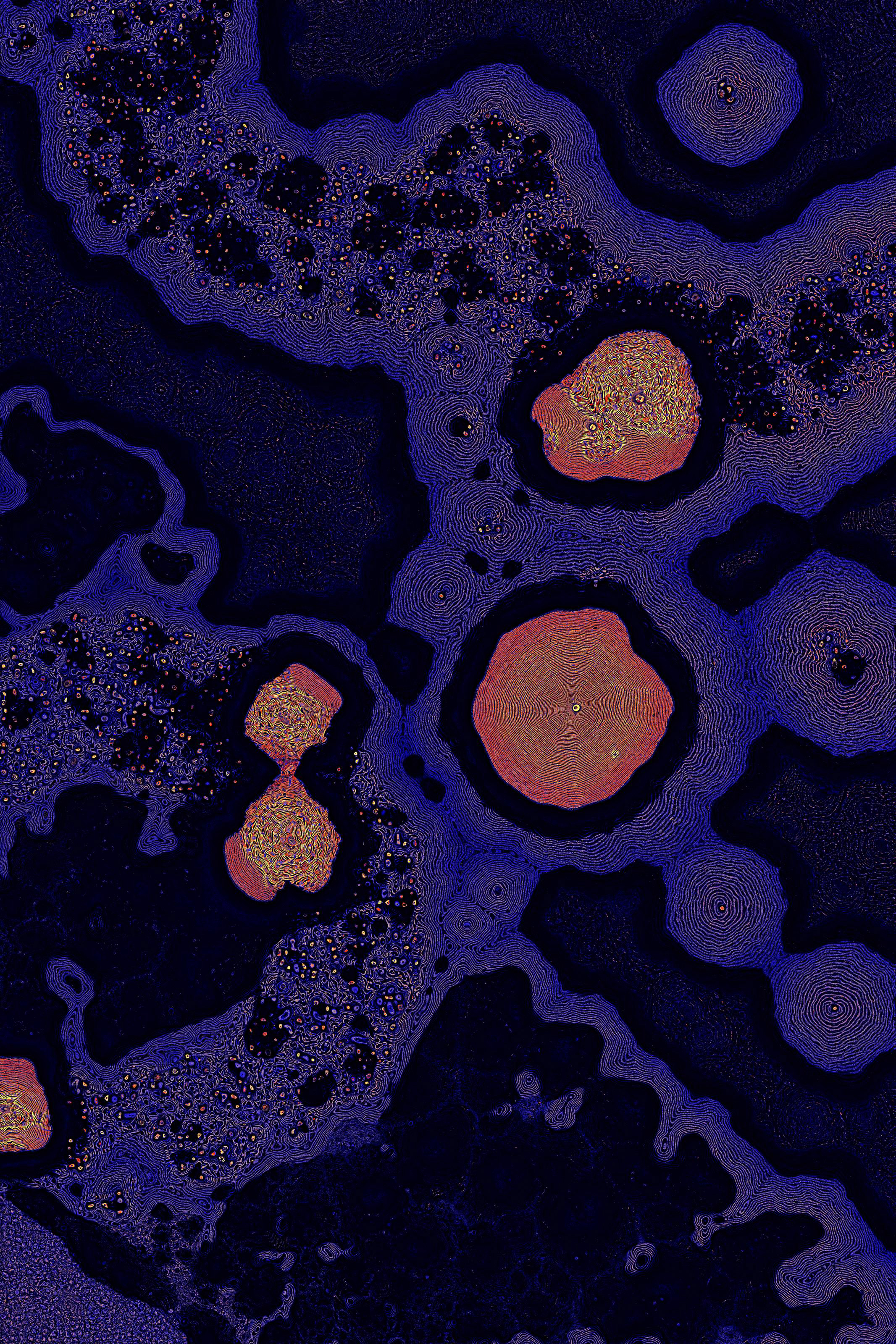 Dactylogram #27