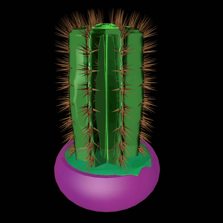 CACTUS