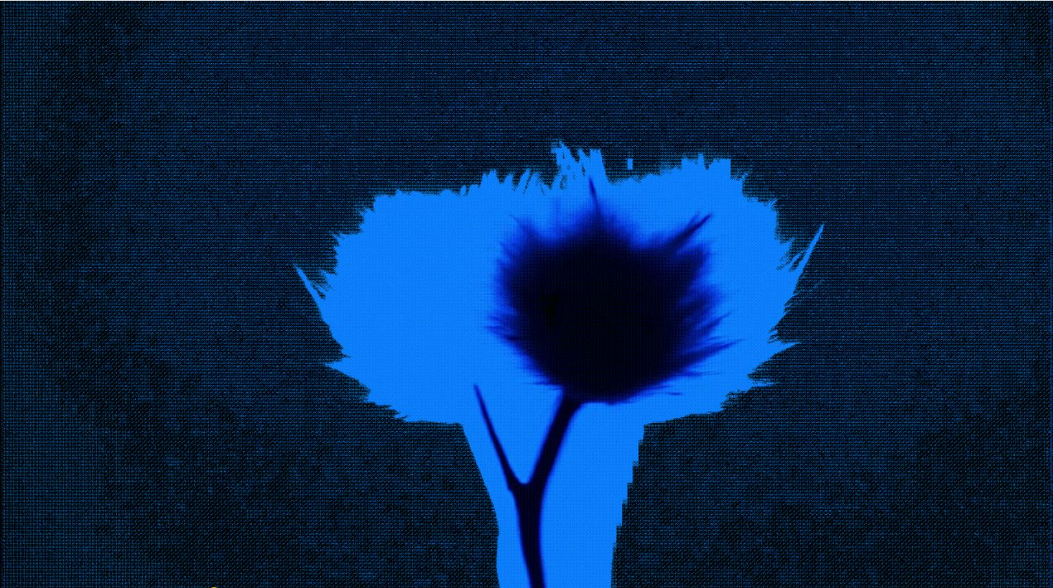 Plant Mon 2021  