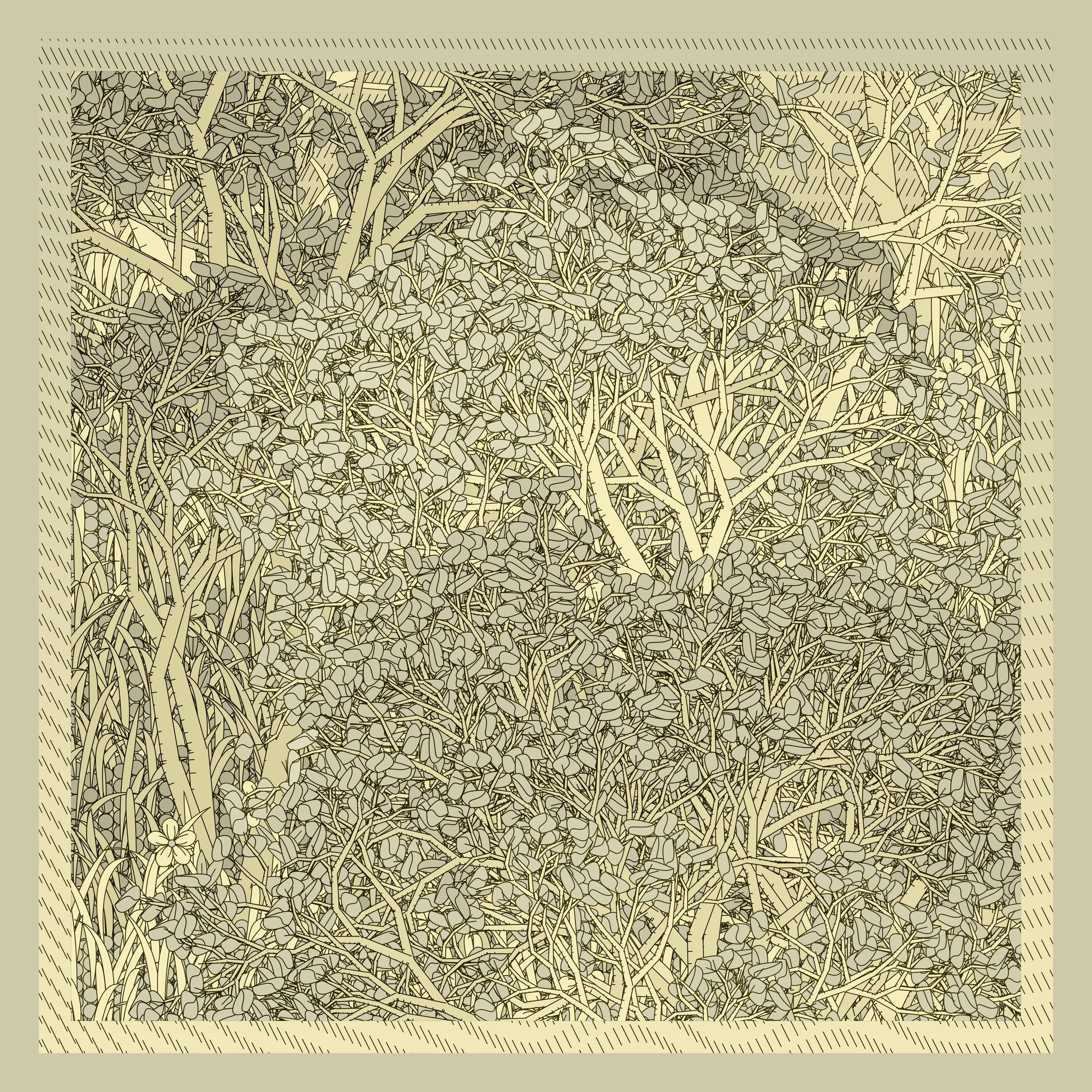 Entangled #22