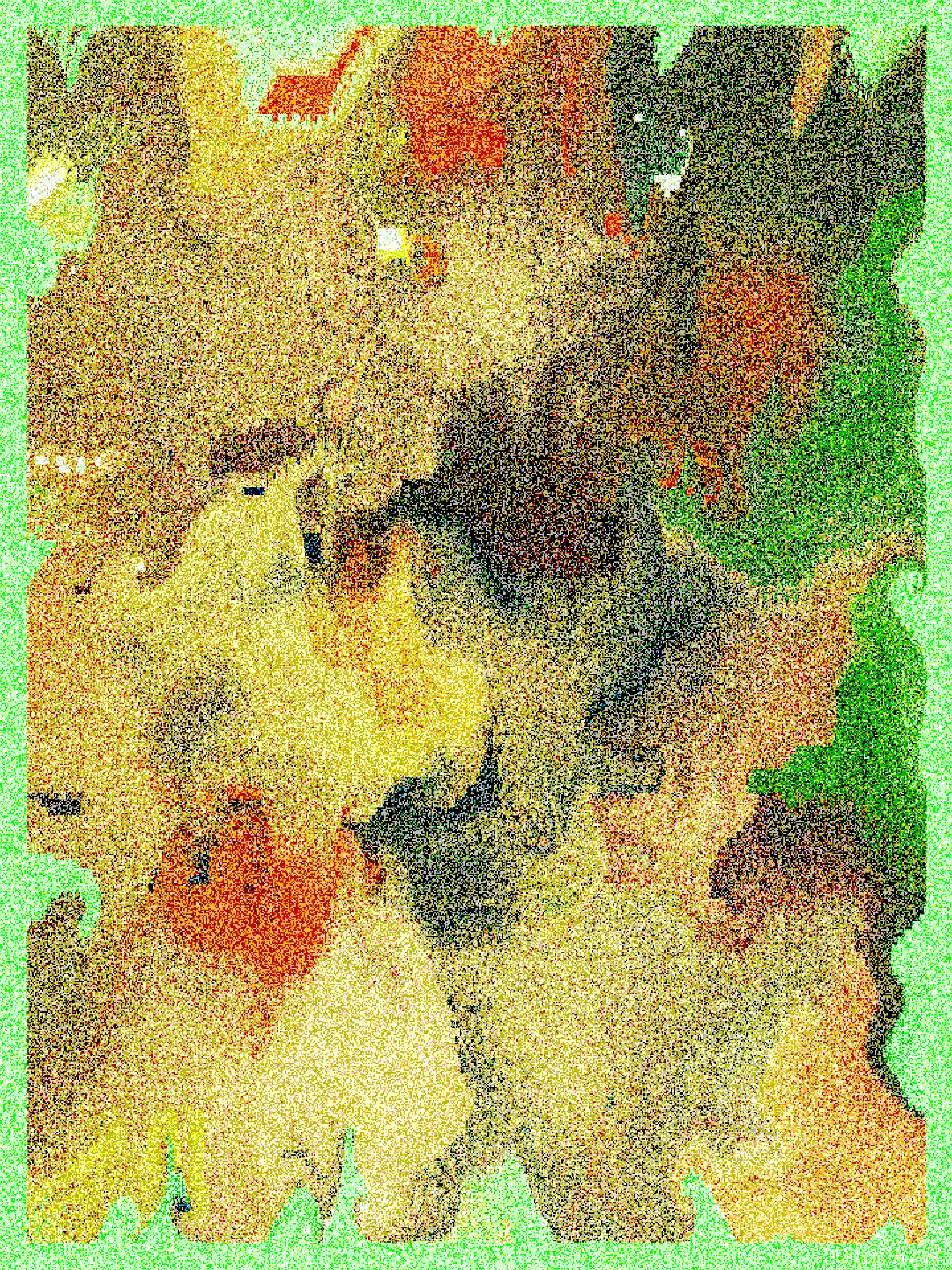 RASTER #231