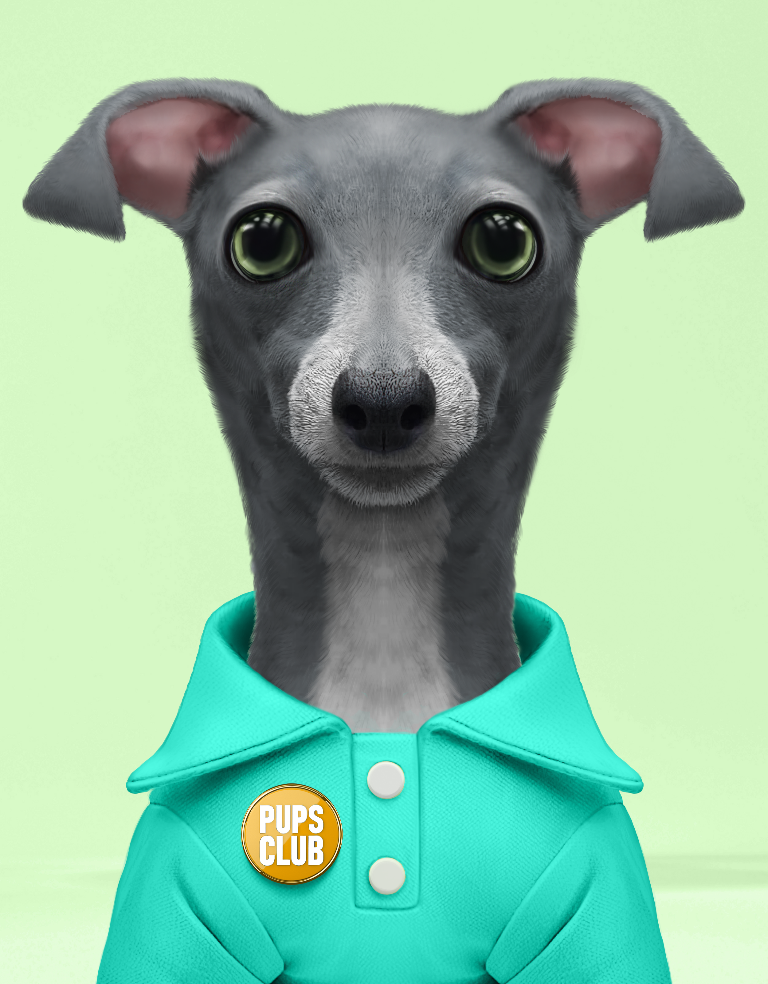Pup #8362