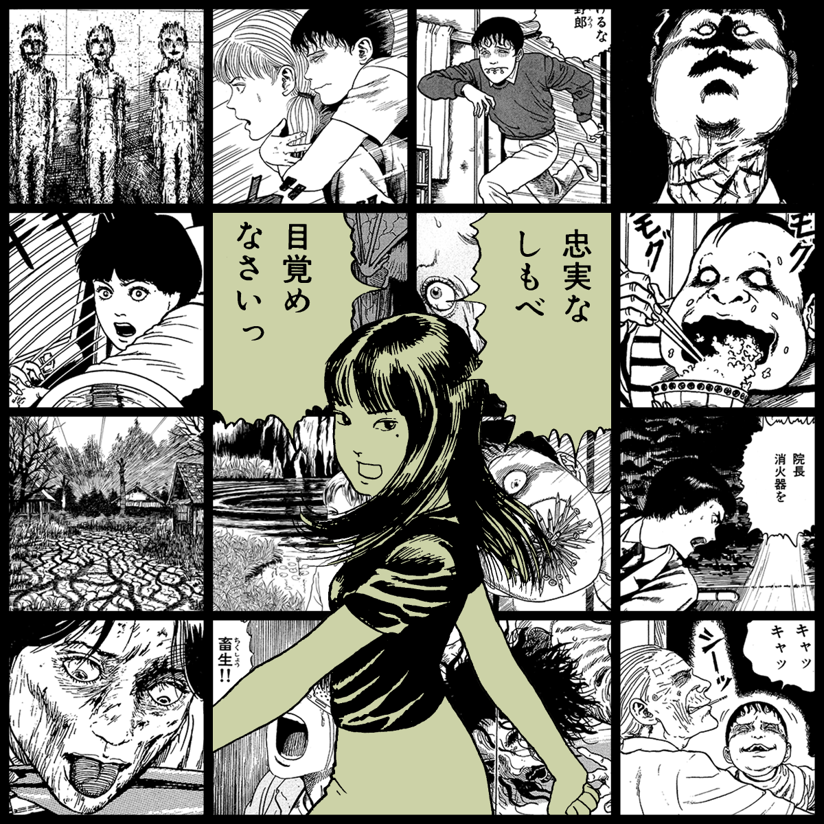 TOMIE by Junji Ito #867