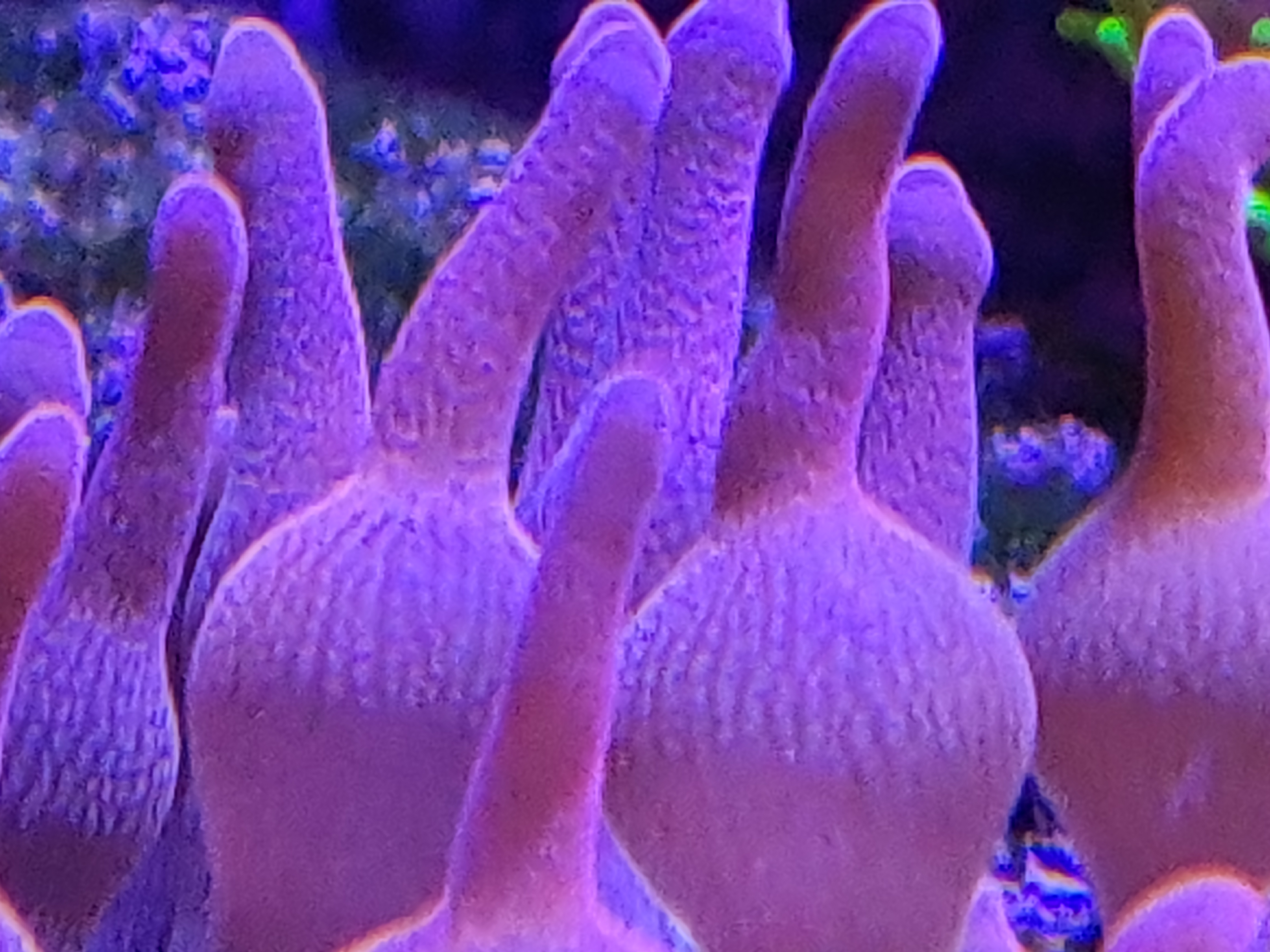 Beautiful 