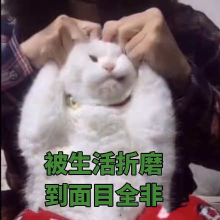 qqq2