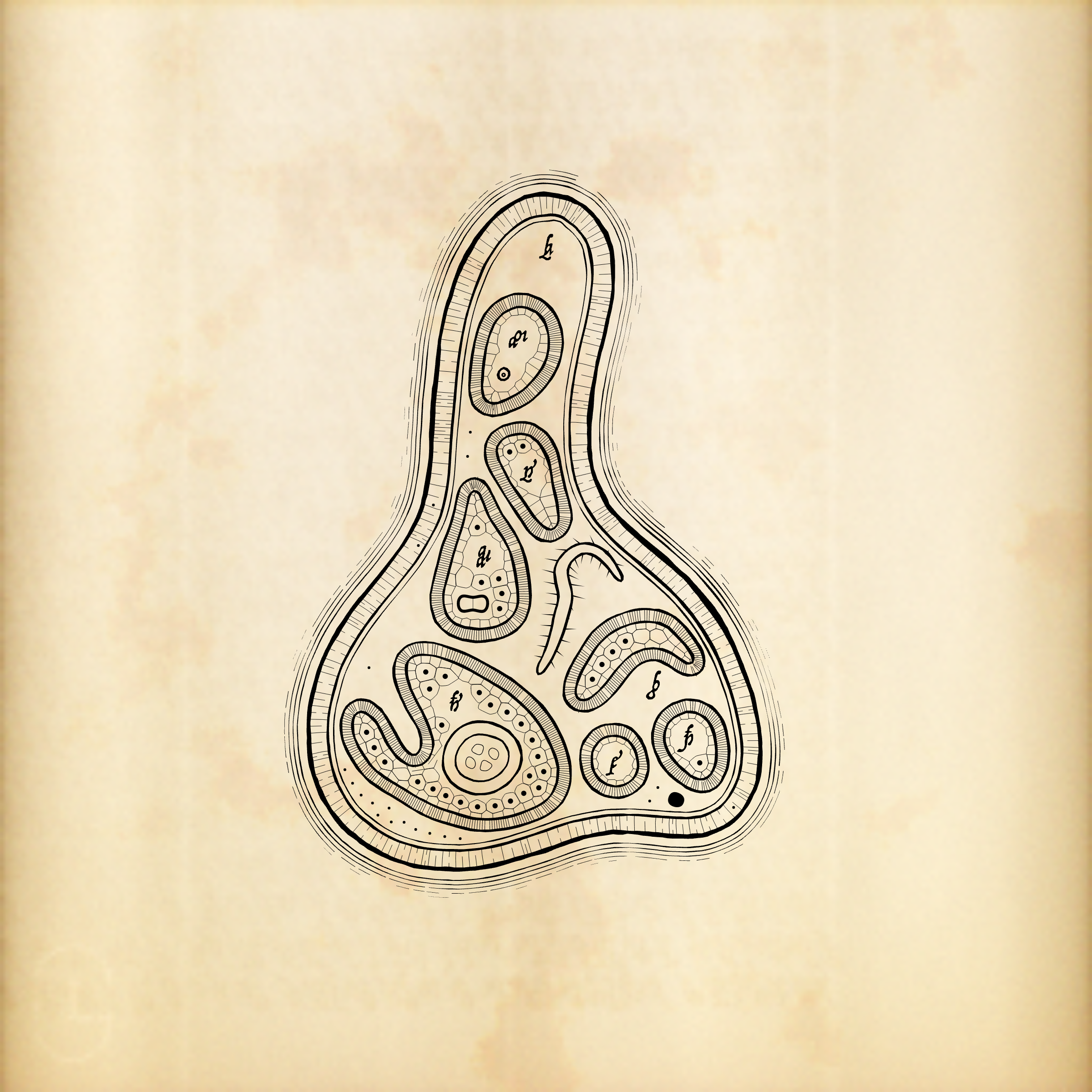 Cytographia #387
