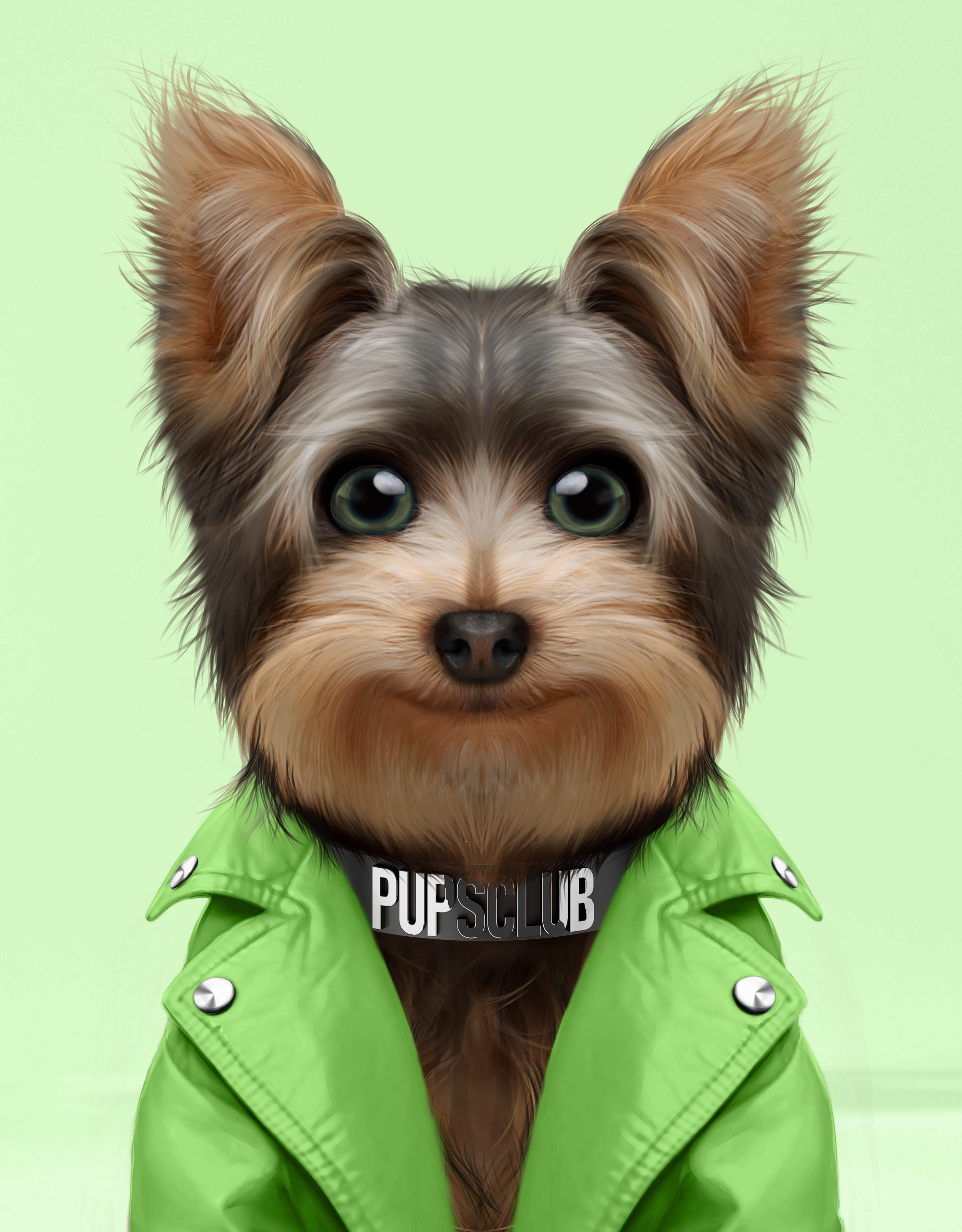 Pup #8360