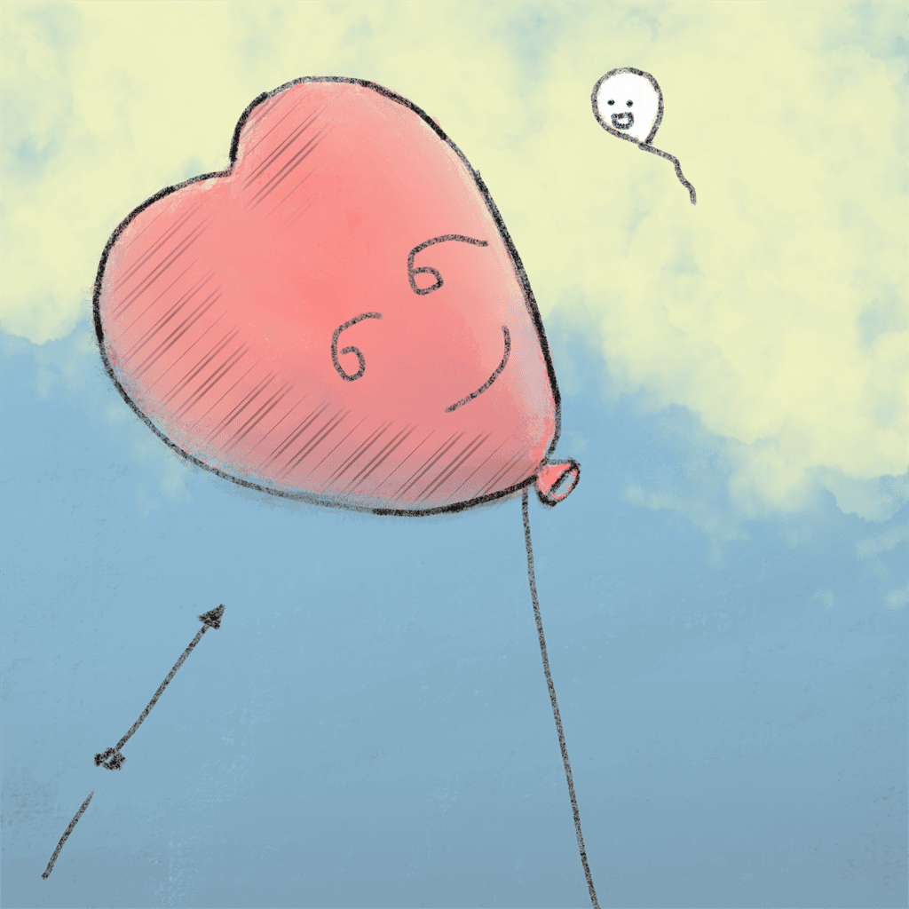 Luftballon 2690