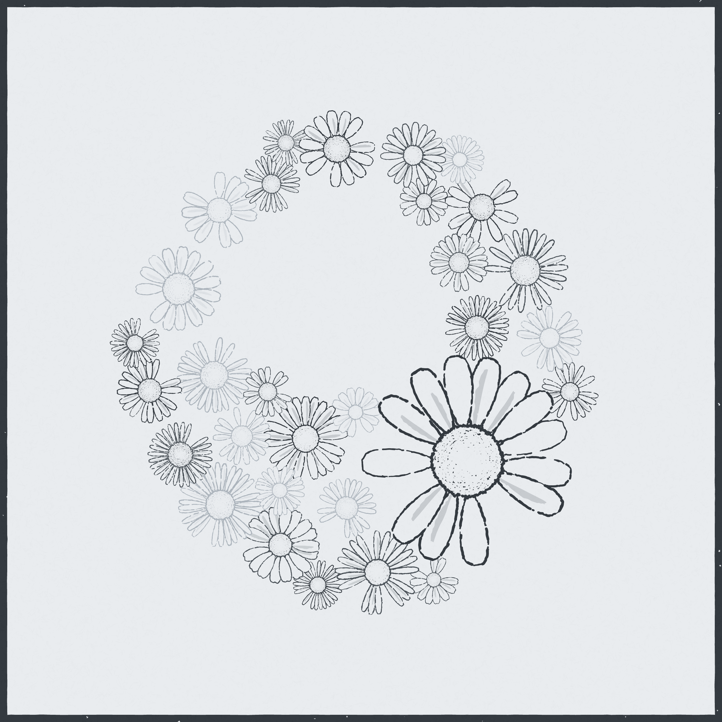 Daisies #150